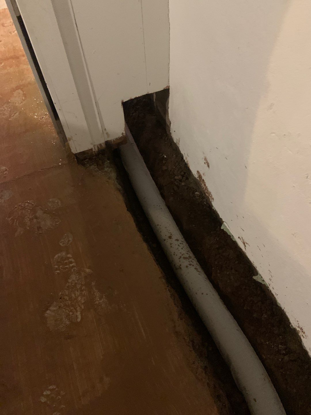 Helping Diane Protect Her Home by Waterproofing Northeast