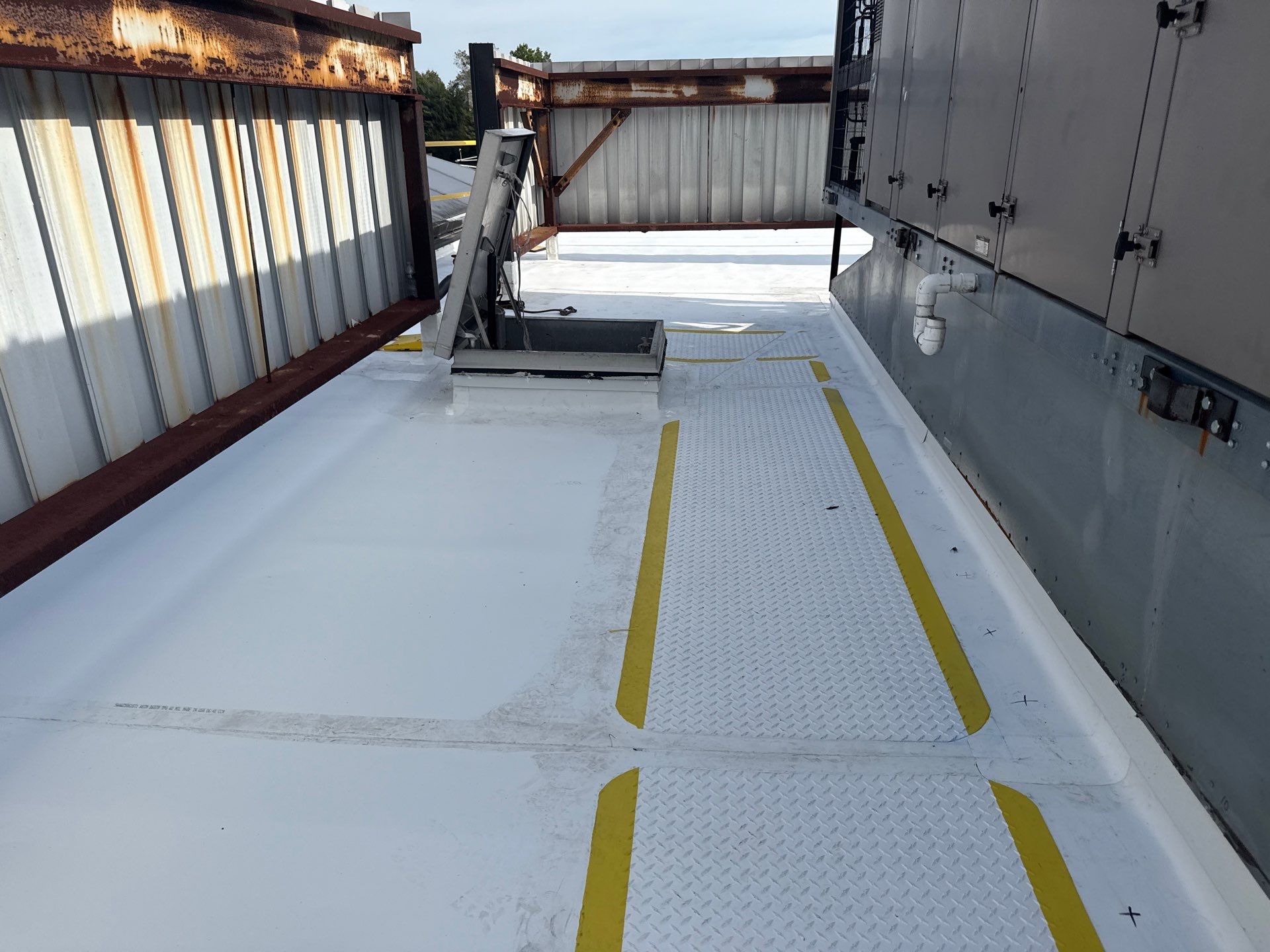 Commercial Roof Replacement – TPO Rhinobond System Installed at TD Bank by All Site Roofing