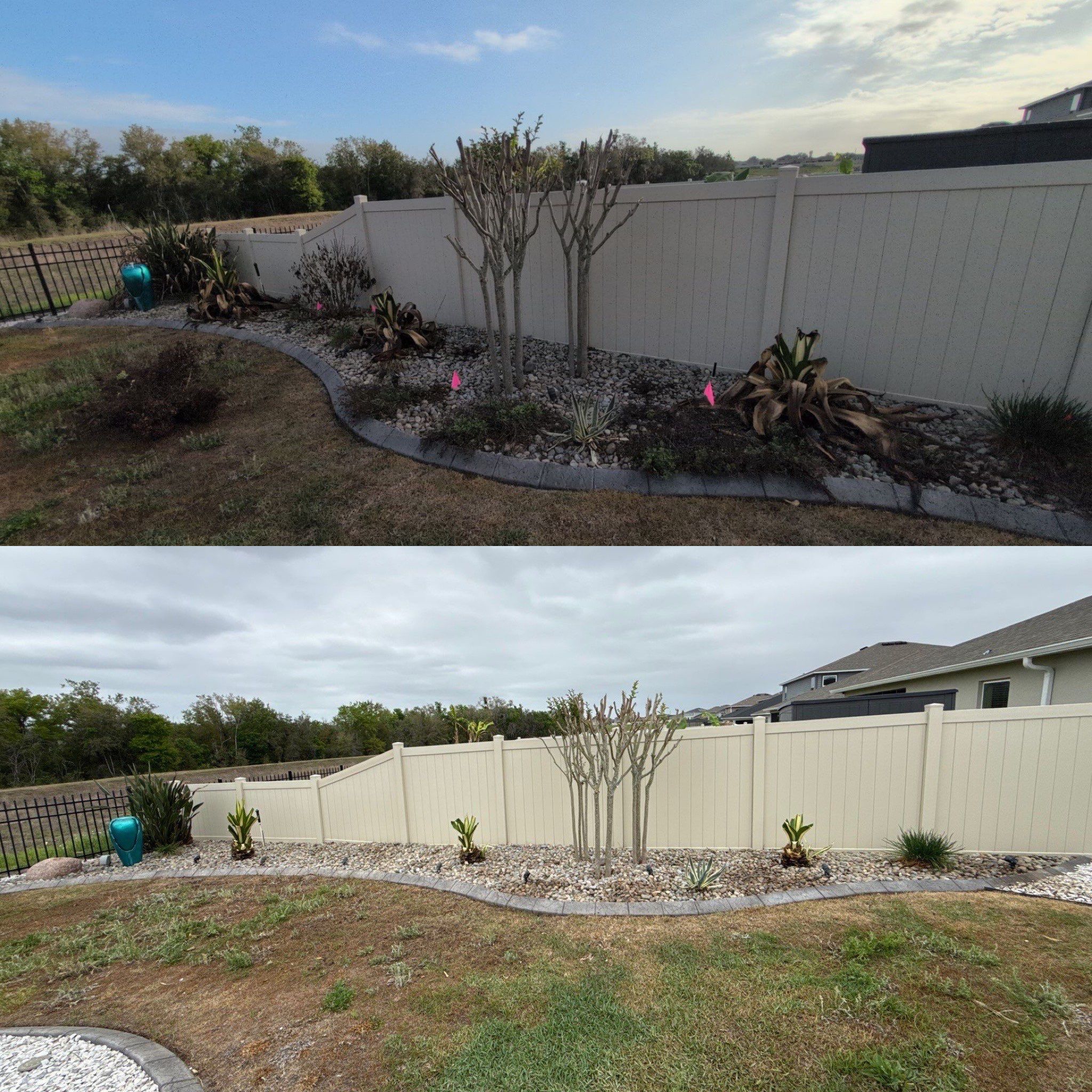 Cold Damage Plant Removal & Landscape Cleanup by
M.A.B. Landscaping & Property Maintenance