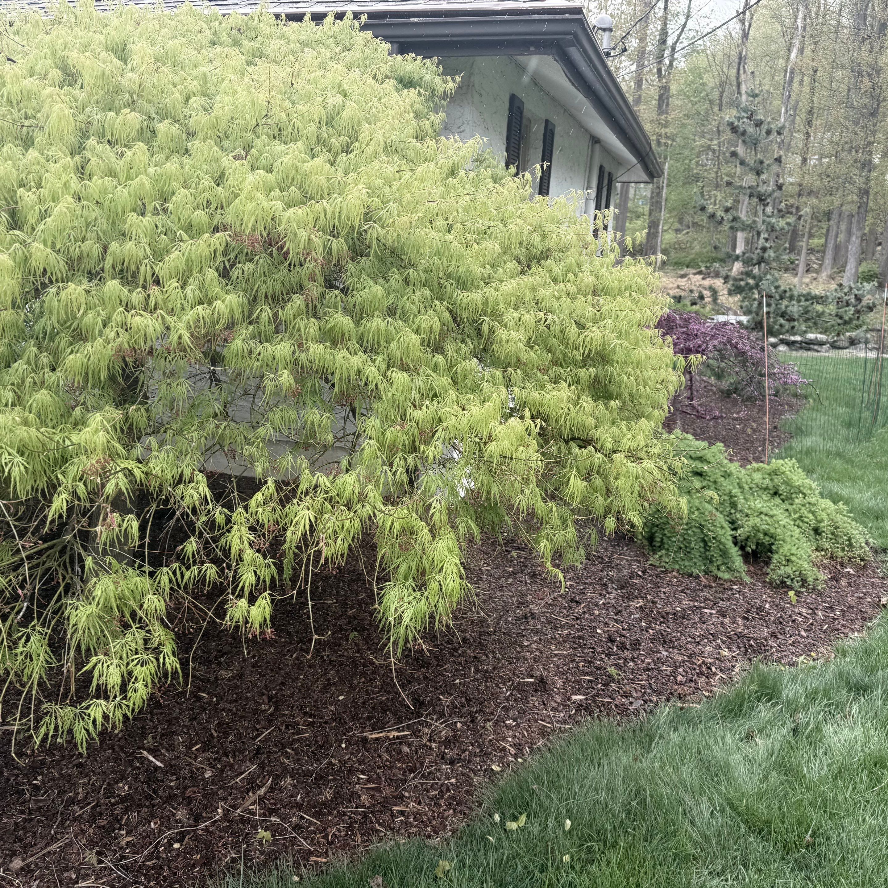 Driveway and Mulch  by L&C Landcare LLC