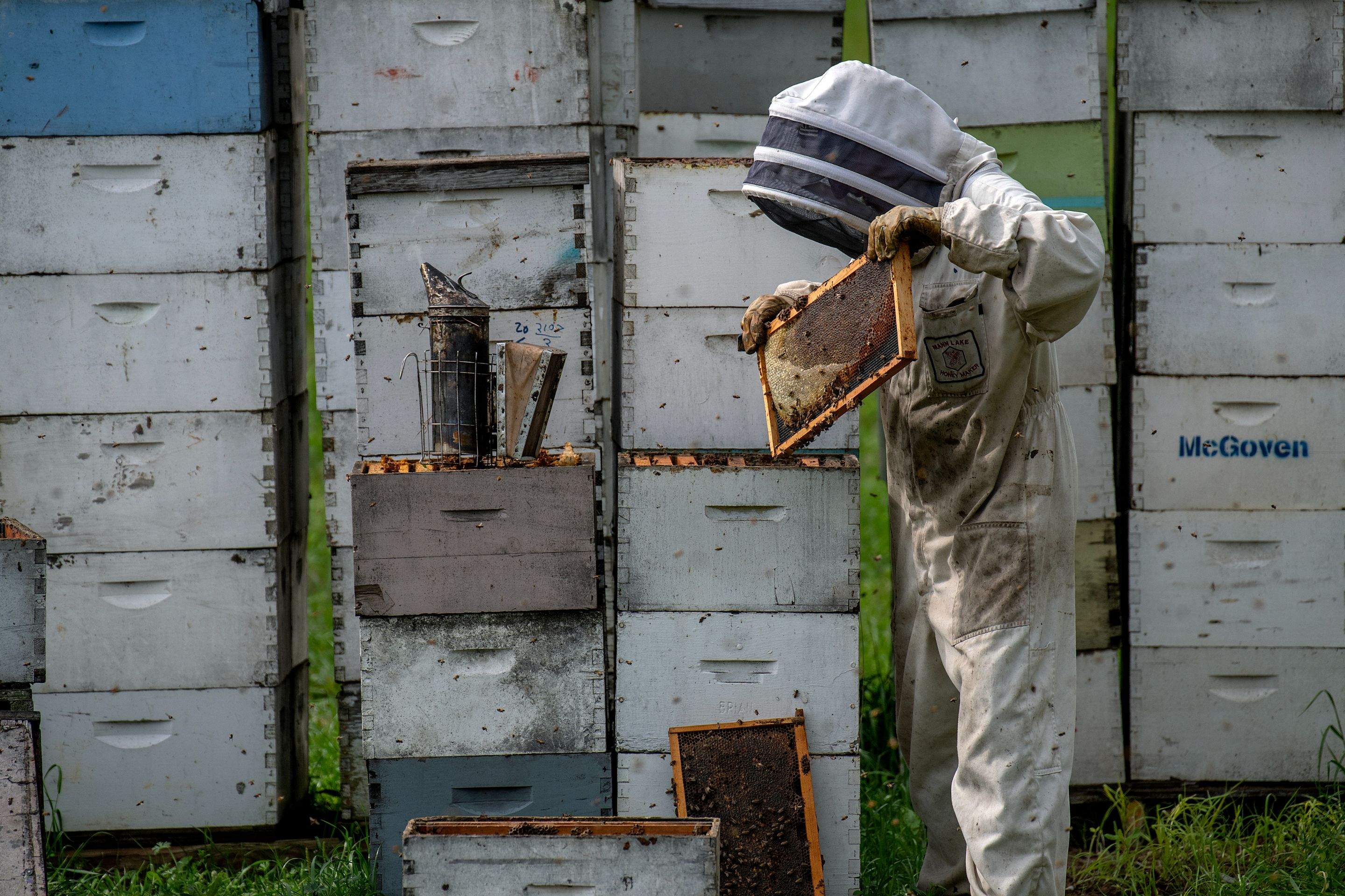 Splits in East Texas by Rockwall Honey Bee Company