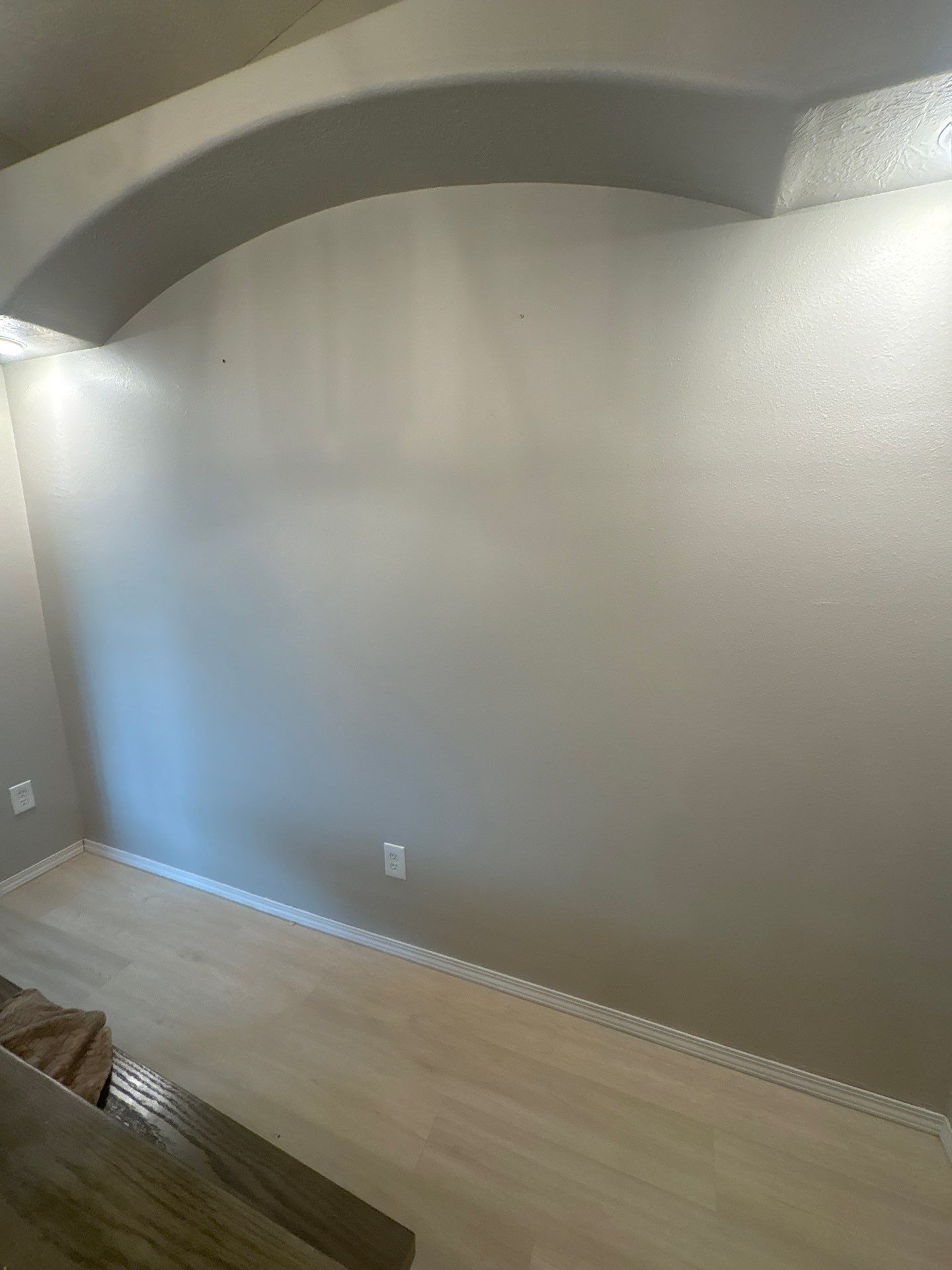 Sioux Falls Interior Painting and Luxury Vinyl Plank Flooring Installation by Select Painting, Coatings & Garage Cabinets