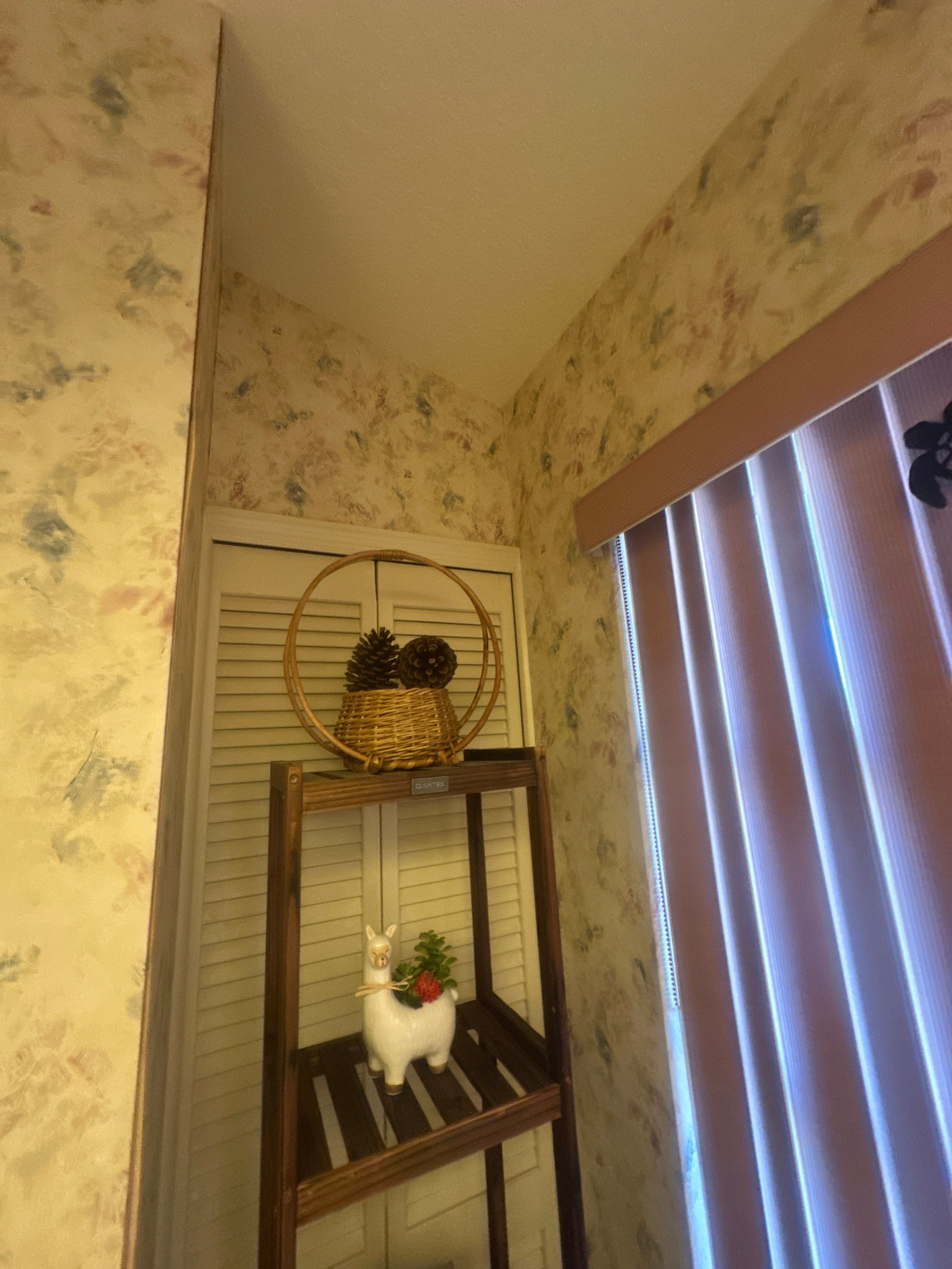 Lenny Van Denhandel - Interior by Fresh Coat Painters