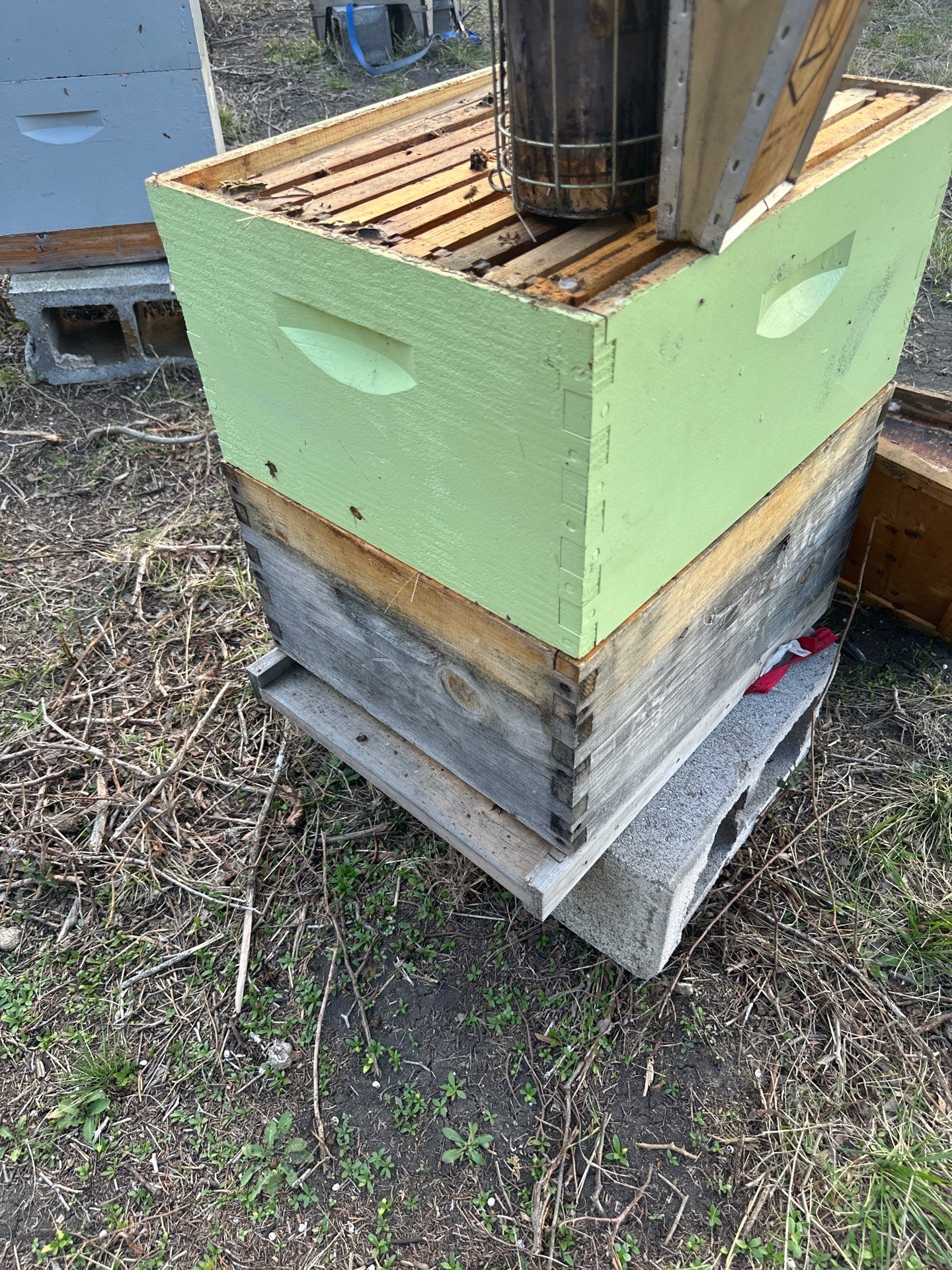 Rockwall County Ag. Exemption by Rockwall Honey Bee Company