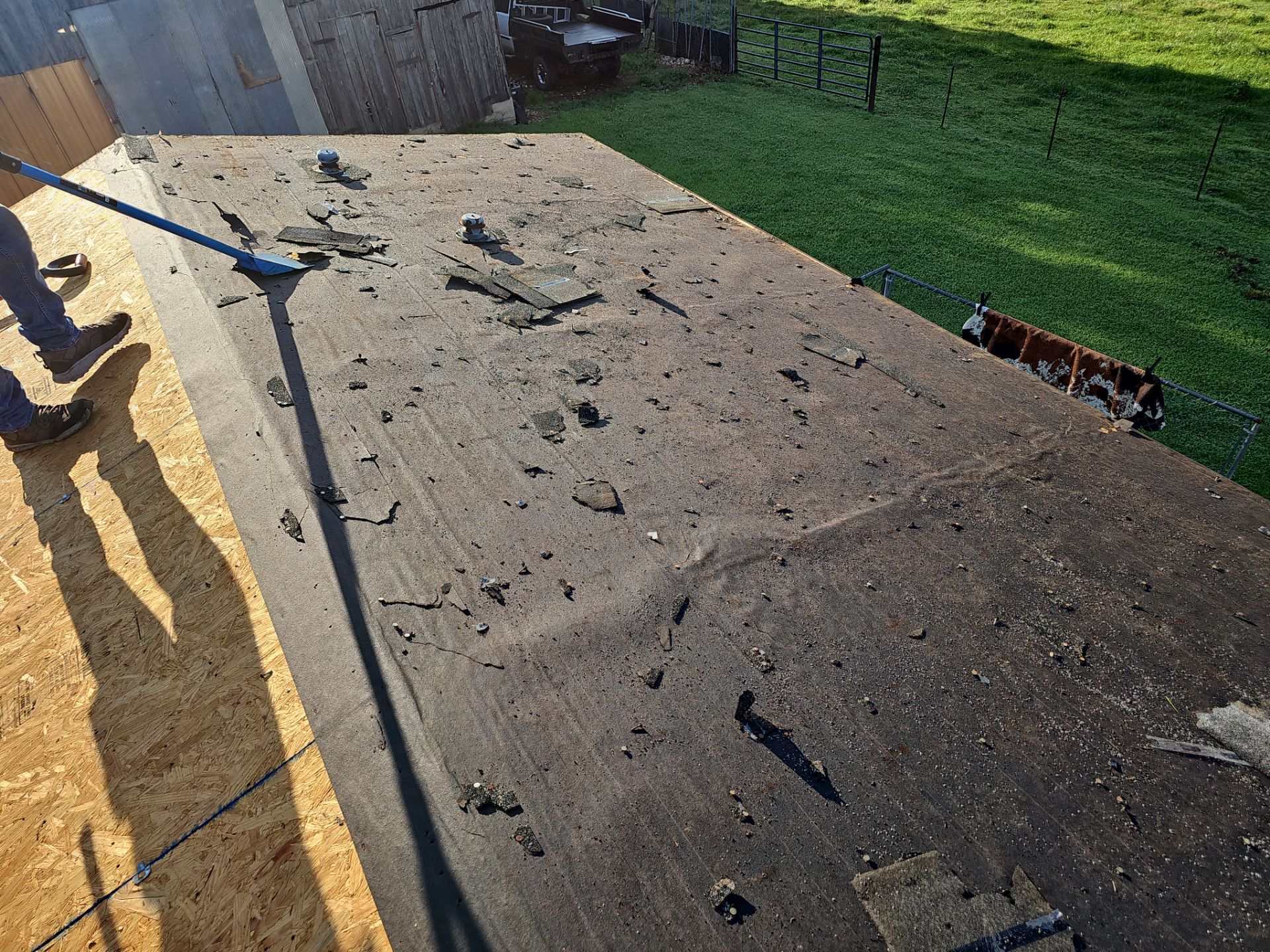 Residential Roofing Install - Atlas Pinnacle Pristine Shingles - Color Morning Harvest  by Titan Commercial & Residential Roofing 