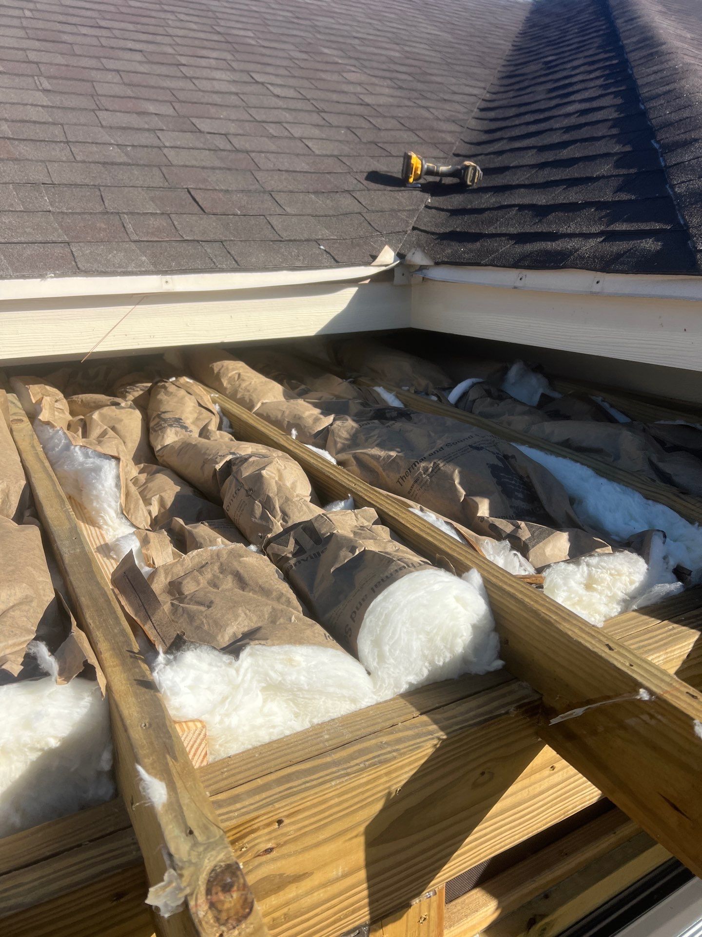 It Ain't Easy getting Shady  by Bayfront Roofing and Construction