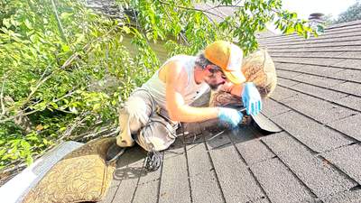 Under Shingles