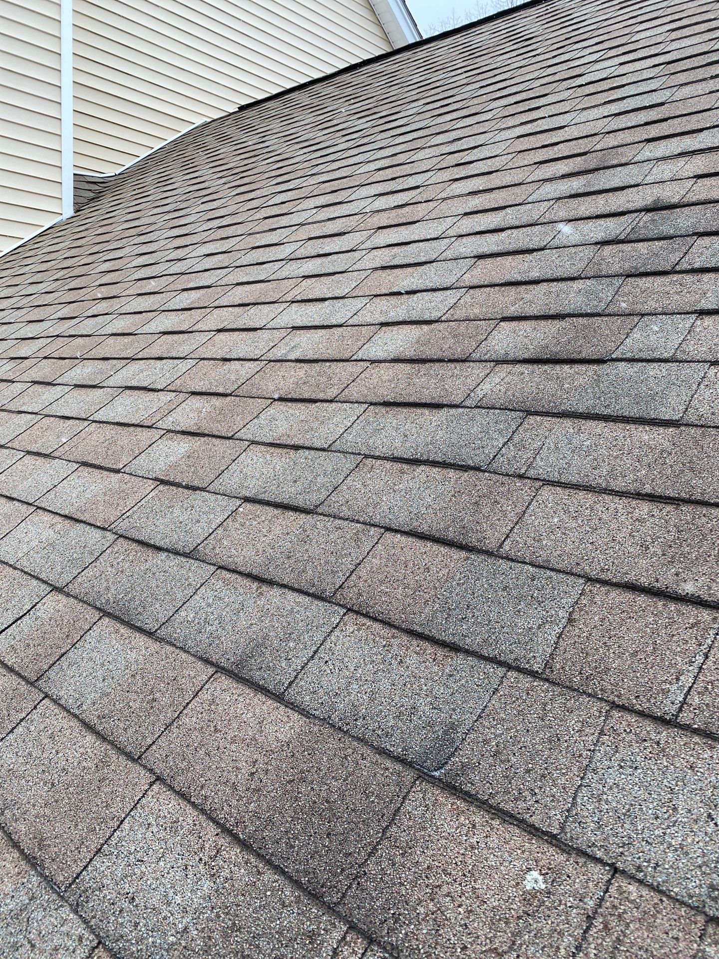 Realtor consult by Mighty Dog Roofing of Greater Middlesex County