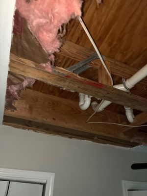 Mold Remediation — Pensacola, FL