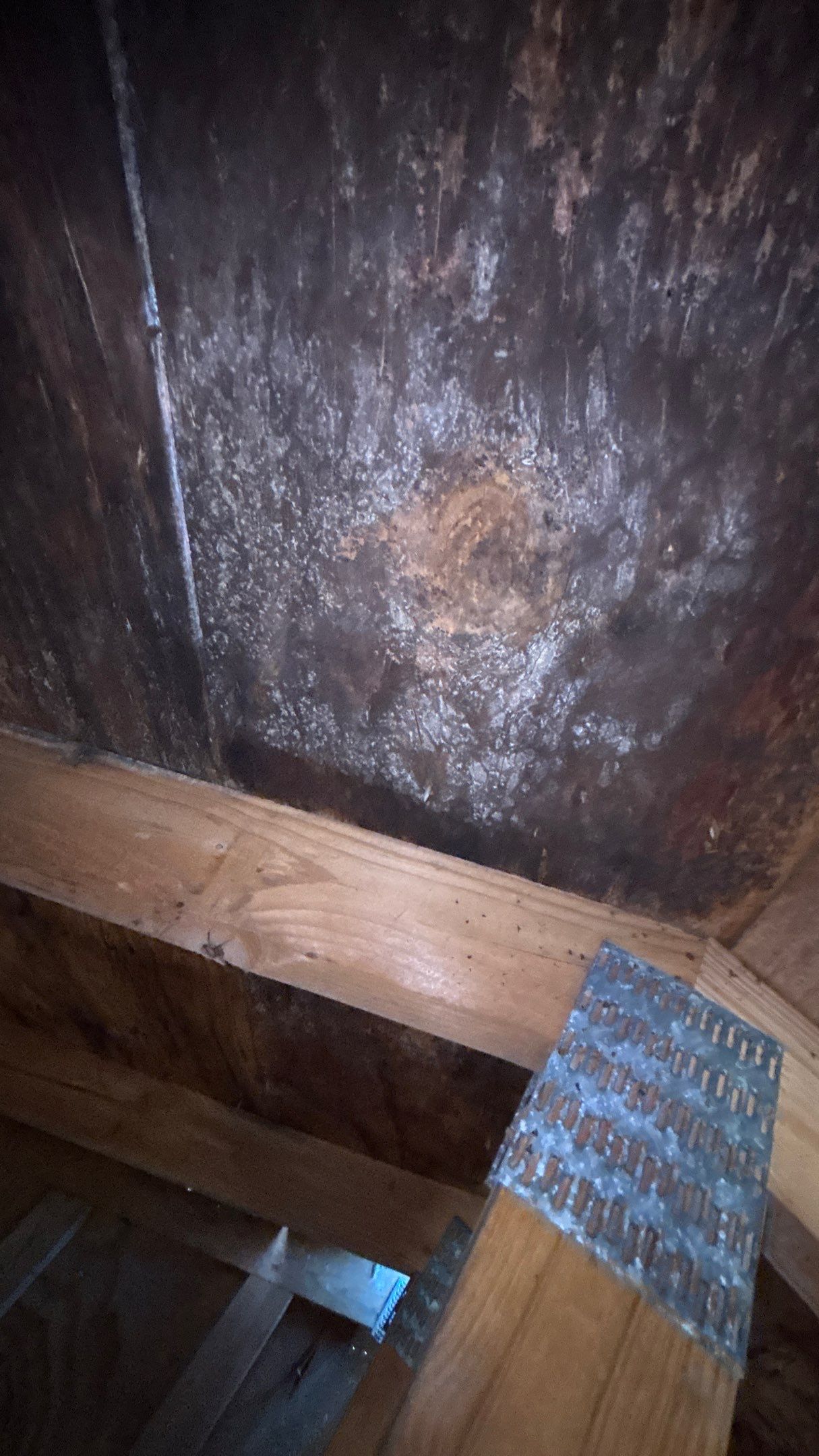 Roof Replacement using Owens Corning Williamsburg Grey by 180 Contractors