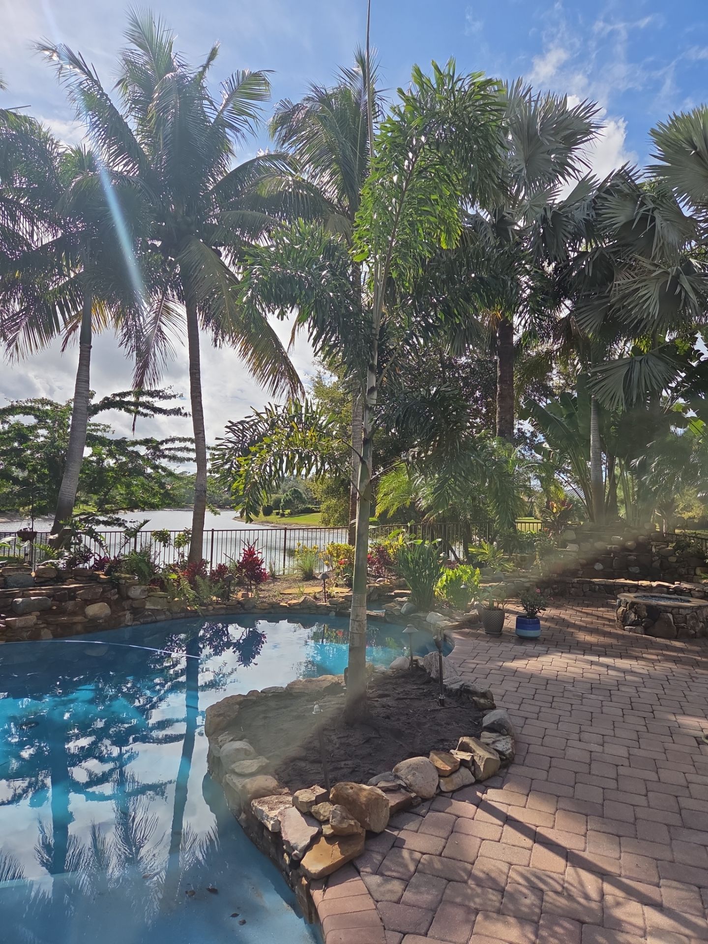 Palm Perfection & Poolside Restoration in Lighthouse Point by Alpha Zeta Enterprises Inc