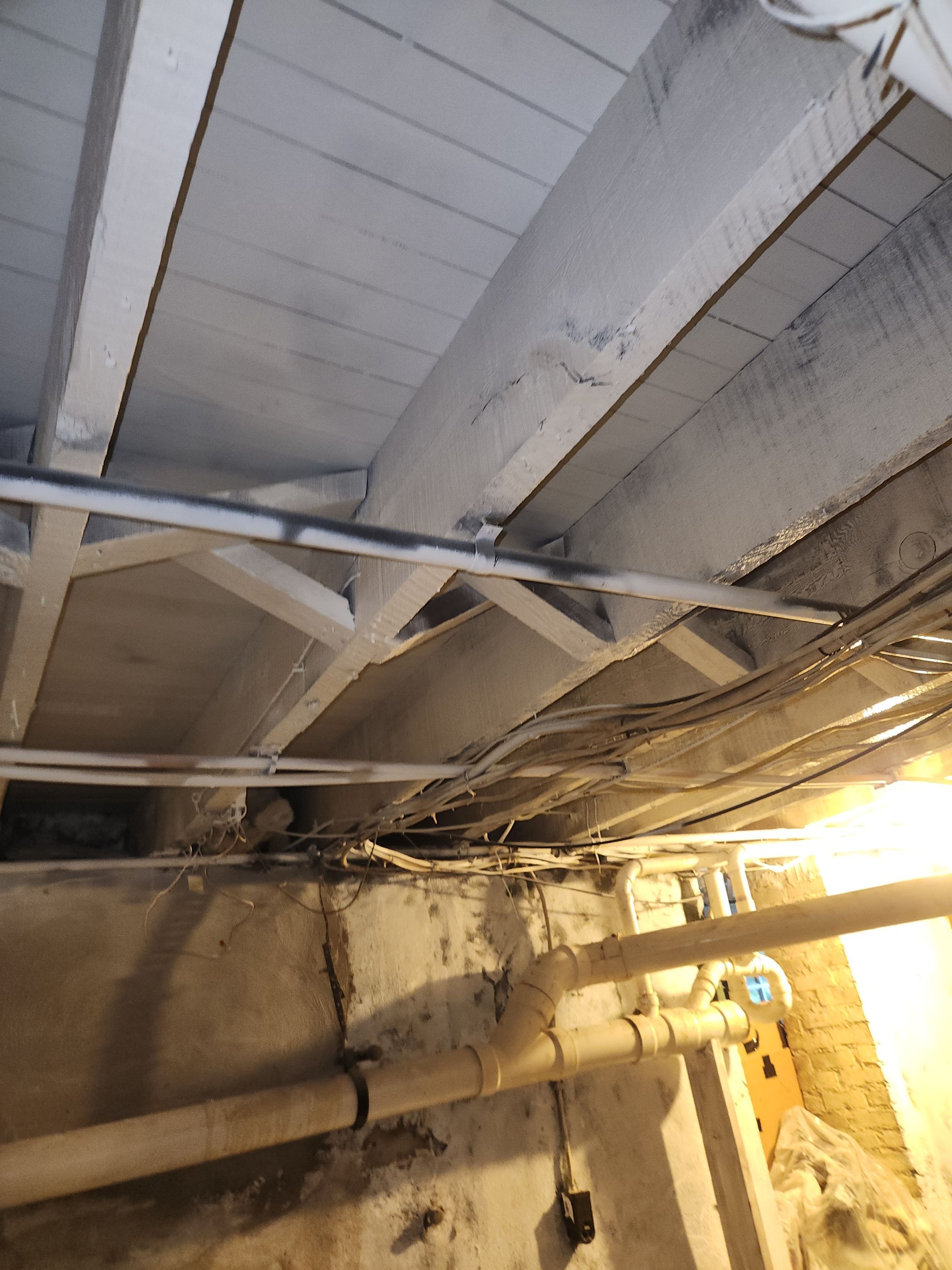 Interior French Drain & Mold Remediation in Mt Tabor NJ by Pure Service Pro, LLC 