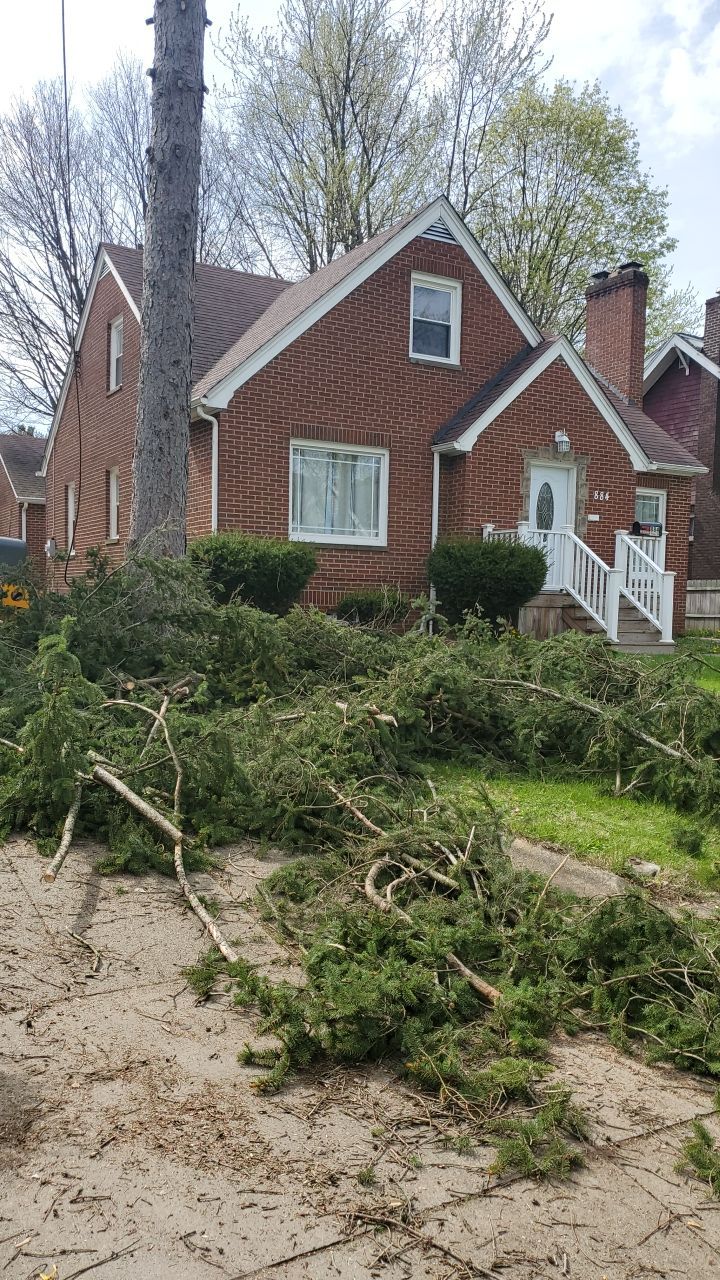 Tree Removal using Tree Removal by Mike Jones & Sons Tree Service LLC 