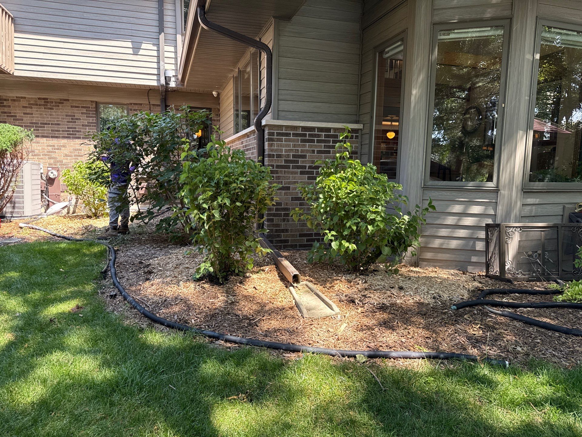 John K. - Arlington Heights, IL by A&N 