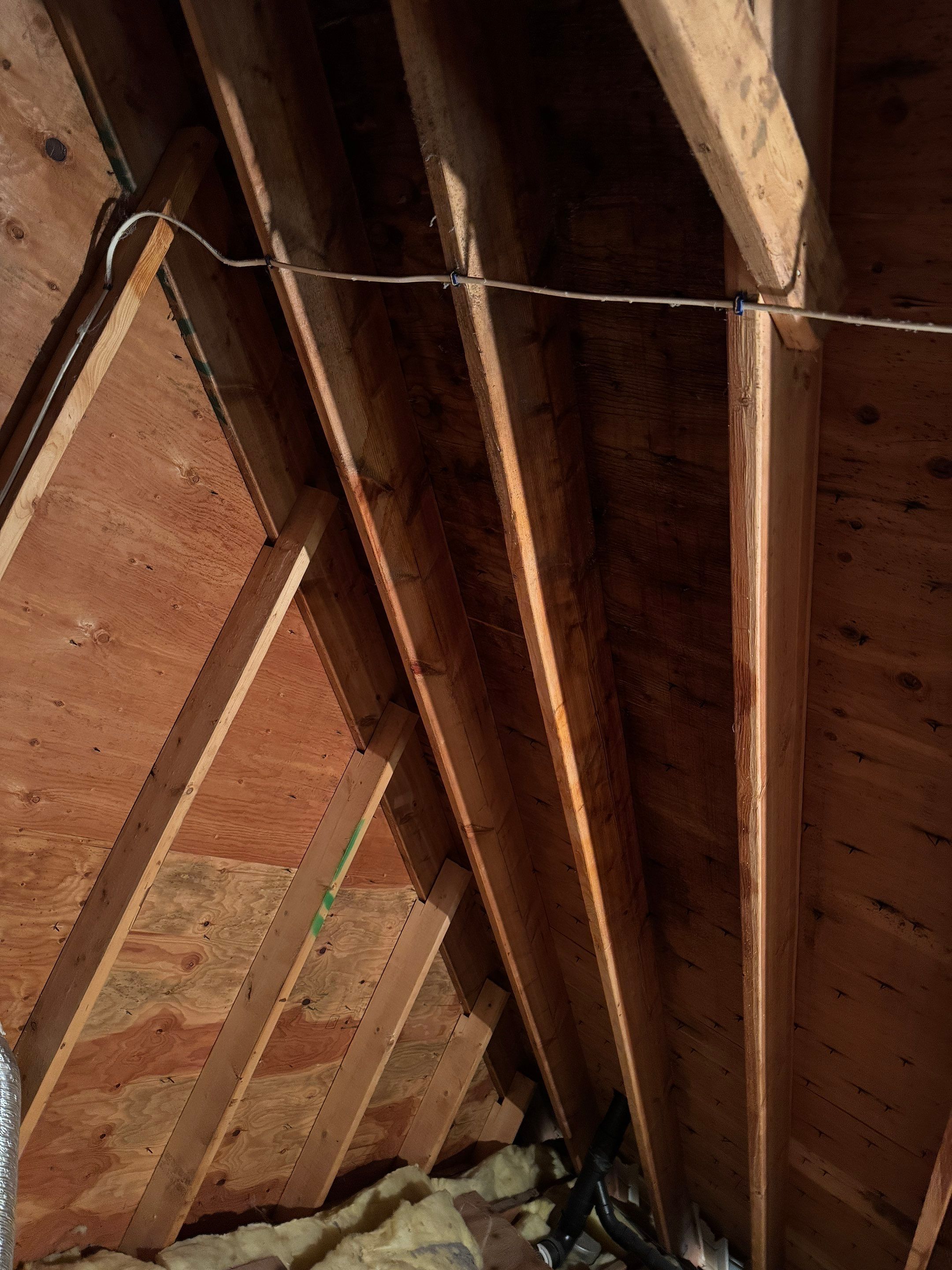 Attic Mold Remediation using Home Guarantee by Home Guarantee, LLC