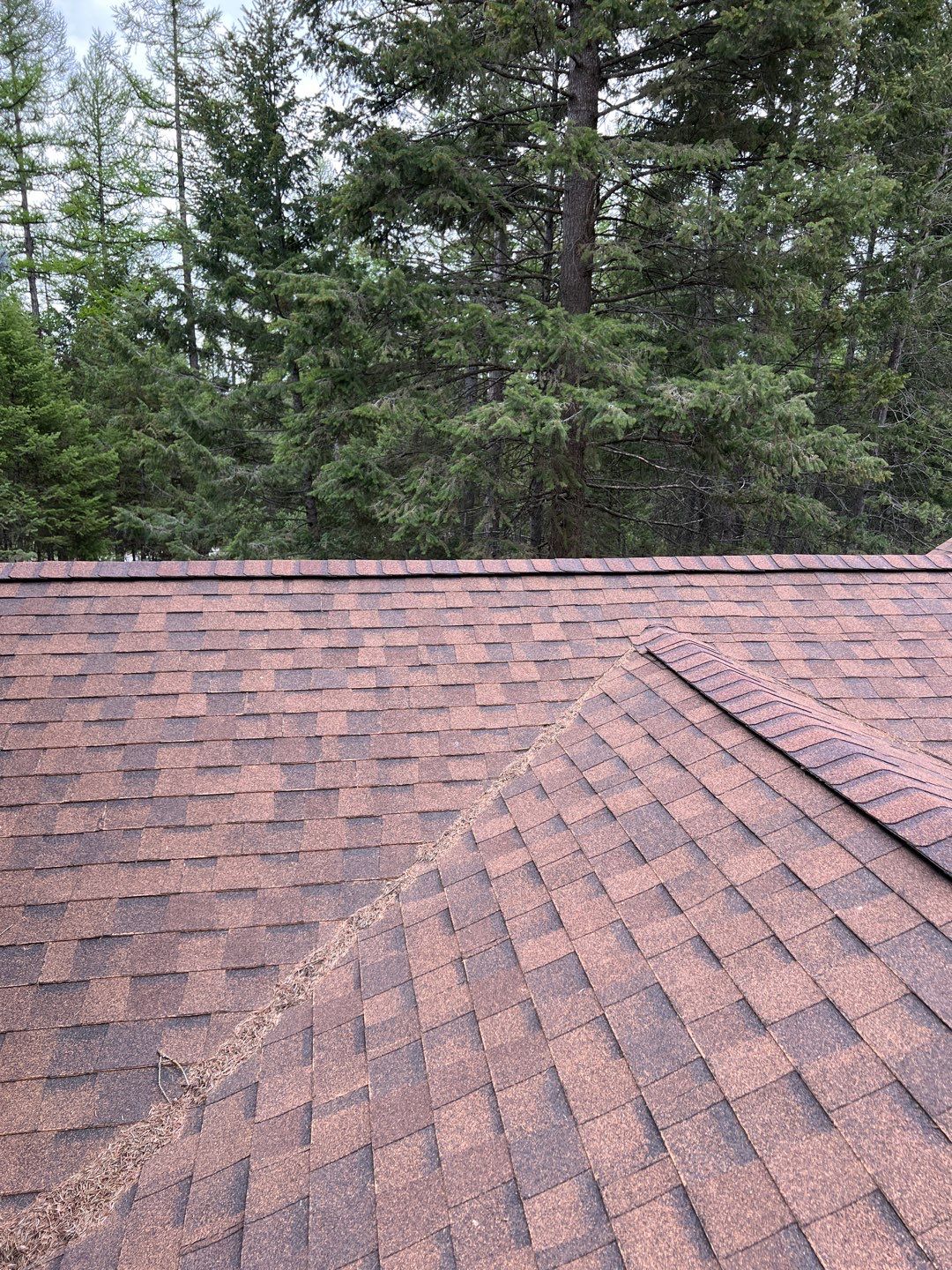 GAF Timberline HDZ - Hunter Green by Montana Roofing Solutions