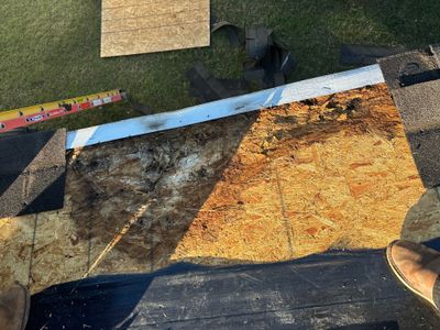 Roof Repair Spring