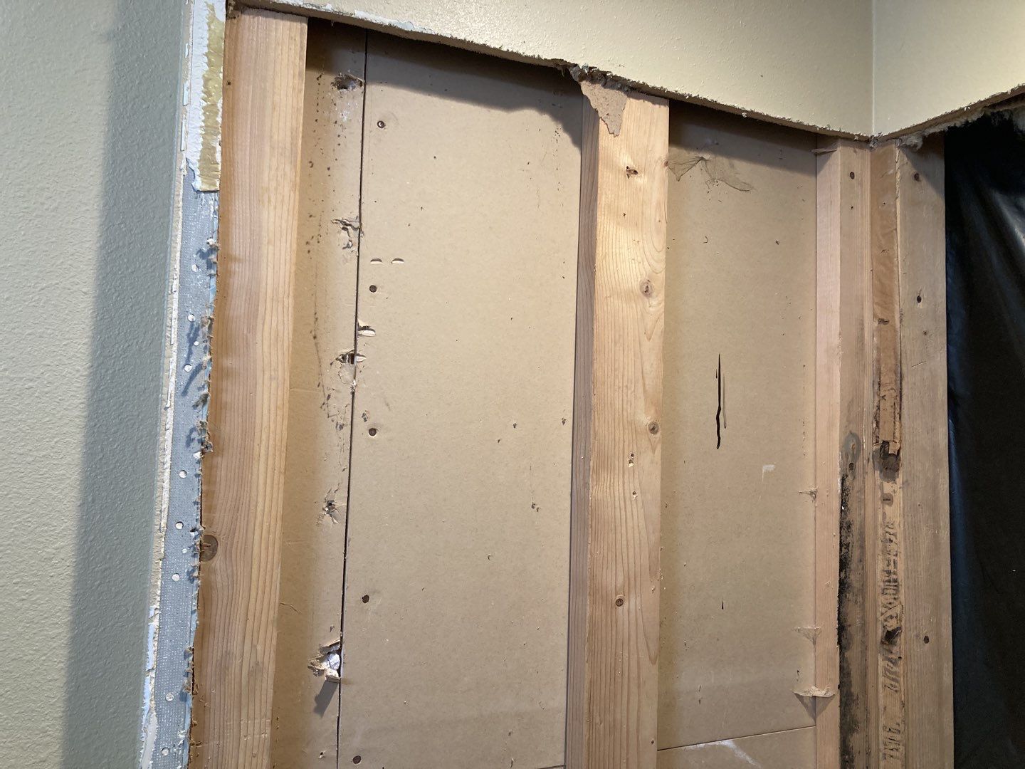 Mold Remediation by Accountable Home Services