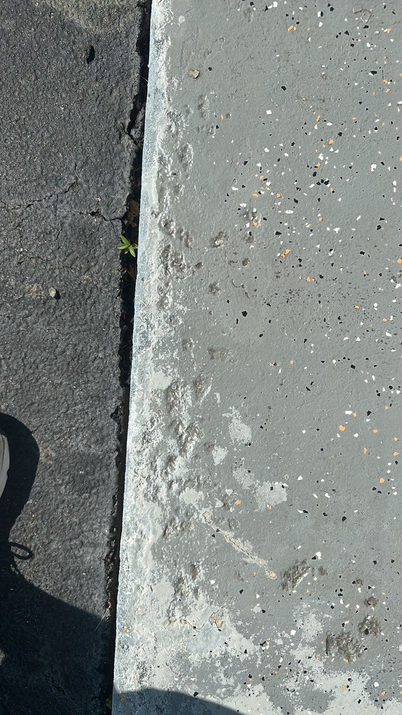 Kenney Walkway TransFLOORmation by Symphony Concrete Coatings