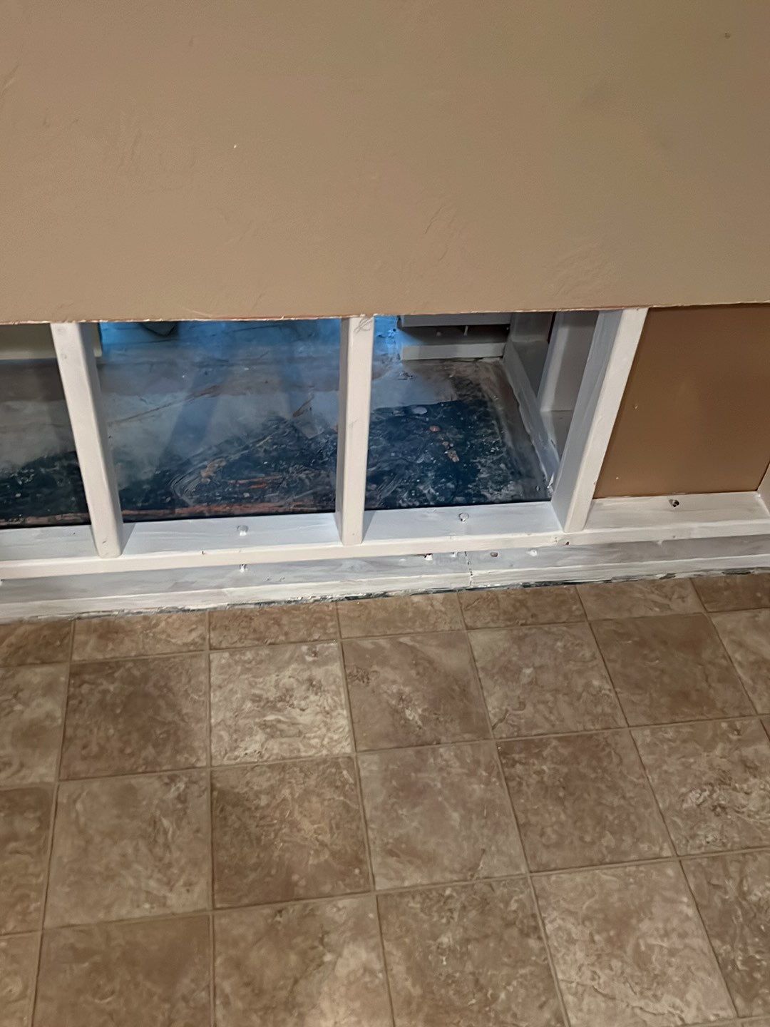 Mold Damage by Accountable Home Services