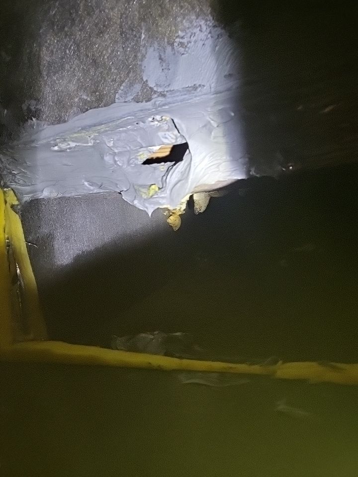 HVAC Mold Remediation & Indoor Air Restoration in Bethany Beach, DE by Healthy Home Solutions