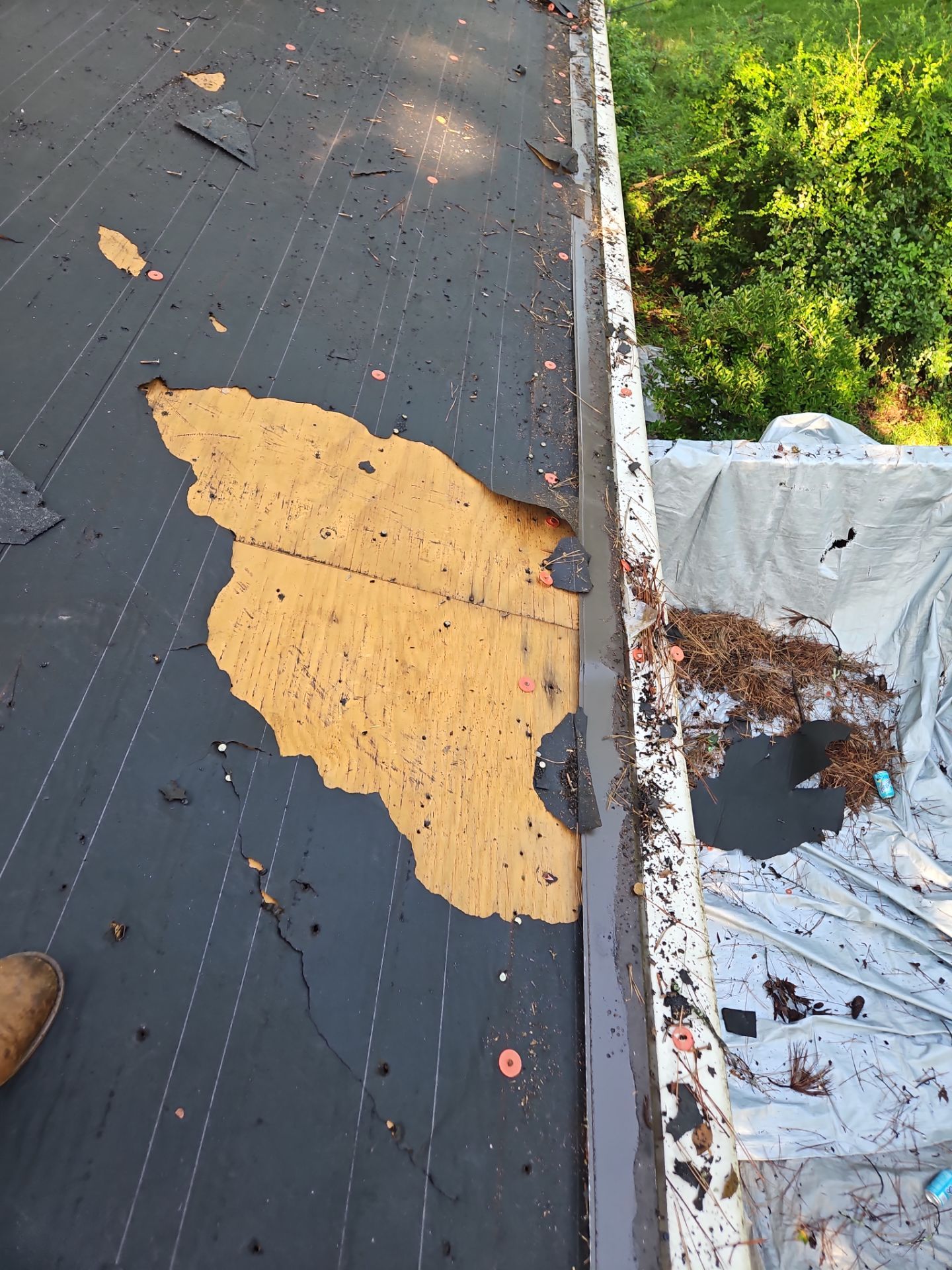 Shingle Replacement in Irondale (Barkwood) by The Roofing Dudes