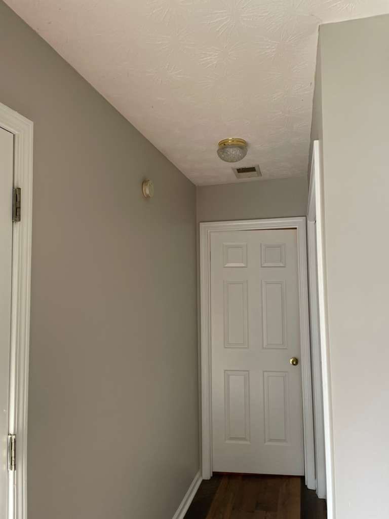 Whole-Home Interior Repaint and Neutral Color Transformation by PGP Surface Solutions, LLC