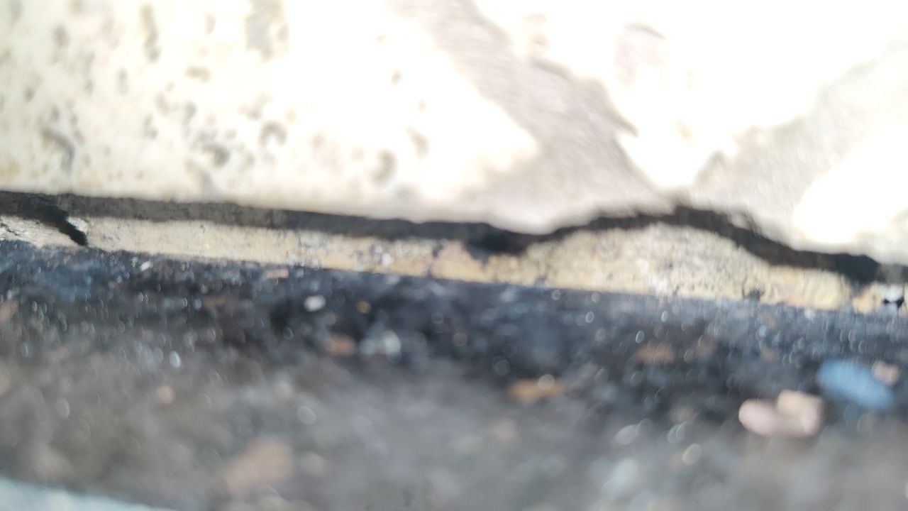 Mold Damage by Accountable Home Services