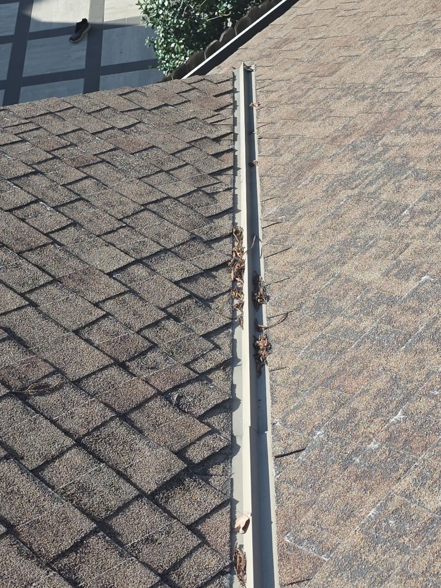 Roof Rejuvenation using Roof Maxx Treatment by Roof Maxx of Folsom