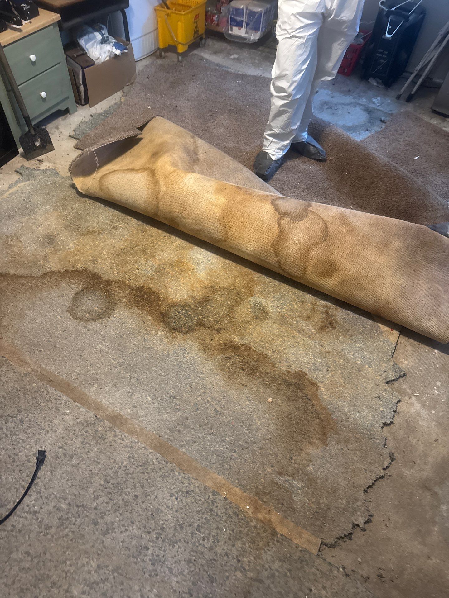 Mold Remediation Project by Chicagoland Water Medics