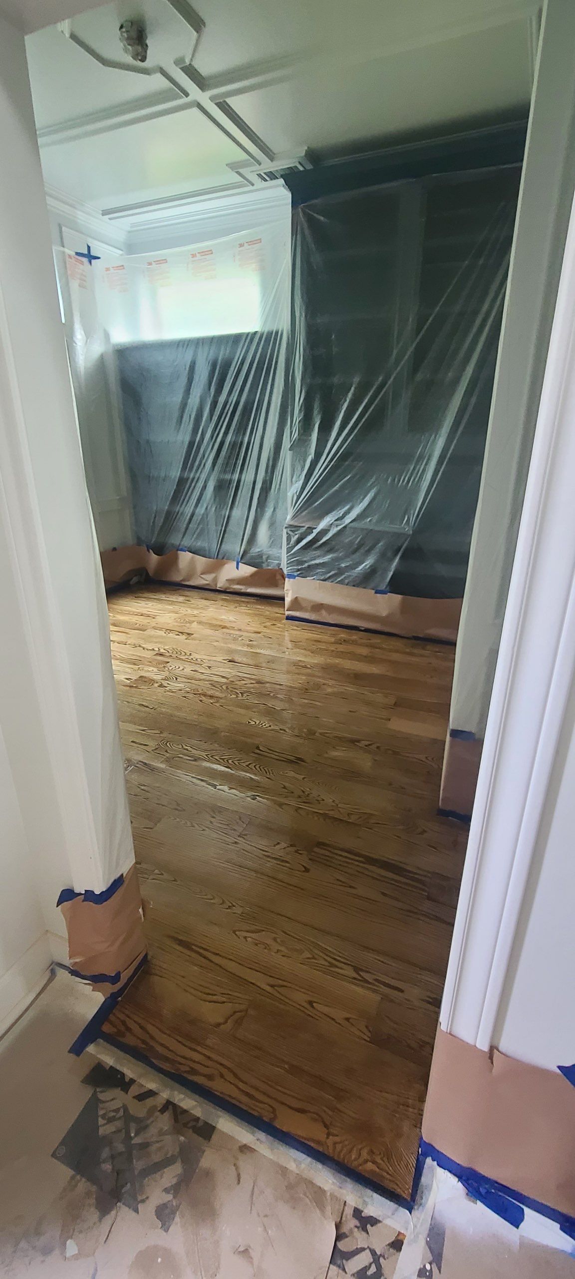 The Napolitano Family by SophAlx LLC