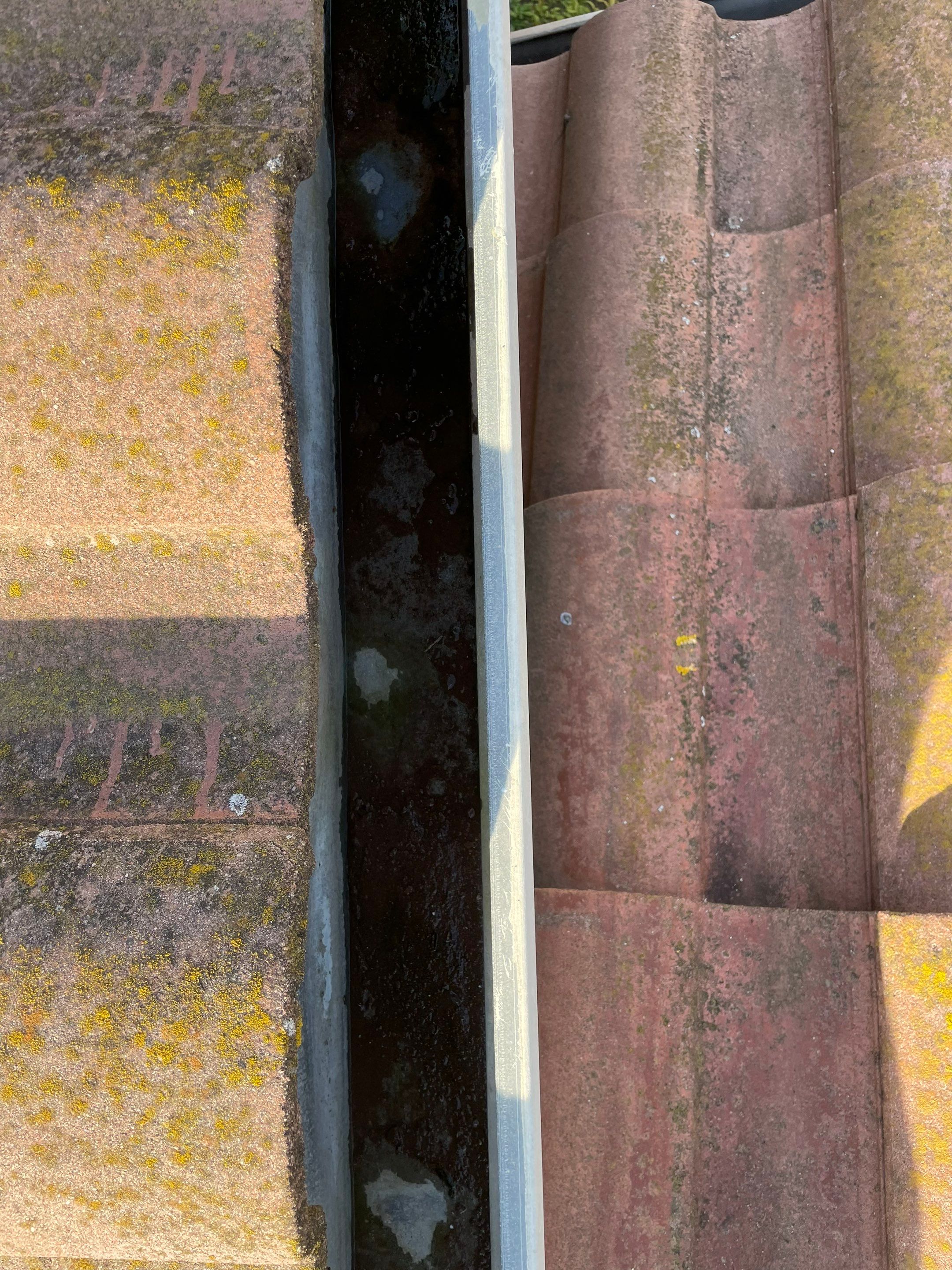 Morgan Hill Triple Combo Cleaning by All One Solar Shine