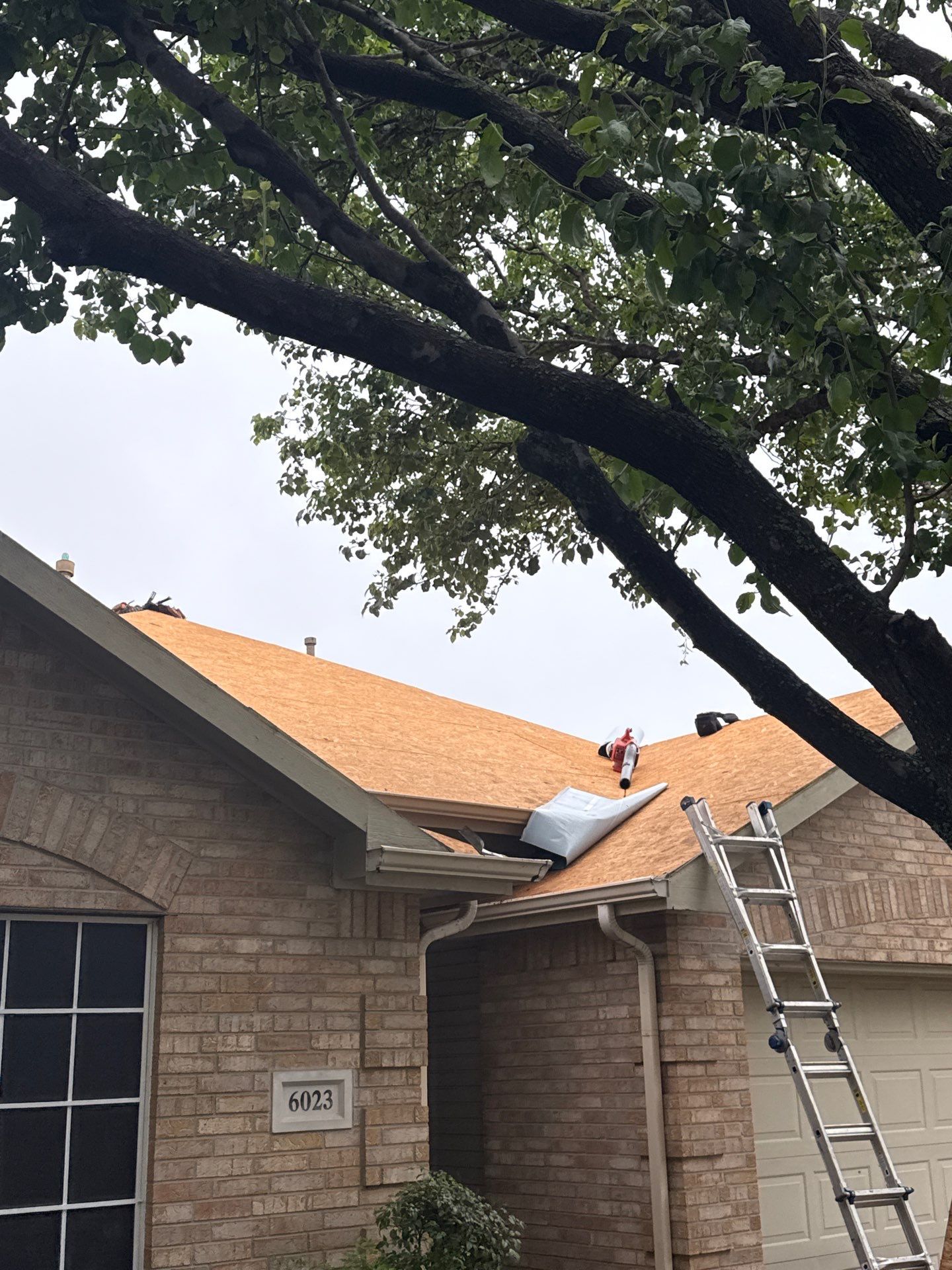 Project in Sachse by Rhino Roofing and General Contracting, LLC
