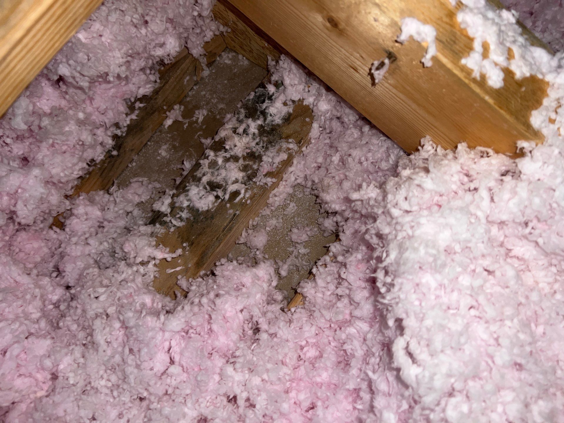 Hail Damage using Owen's Corning Duration (Lifetime) Shingles by Roof Repair Company