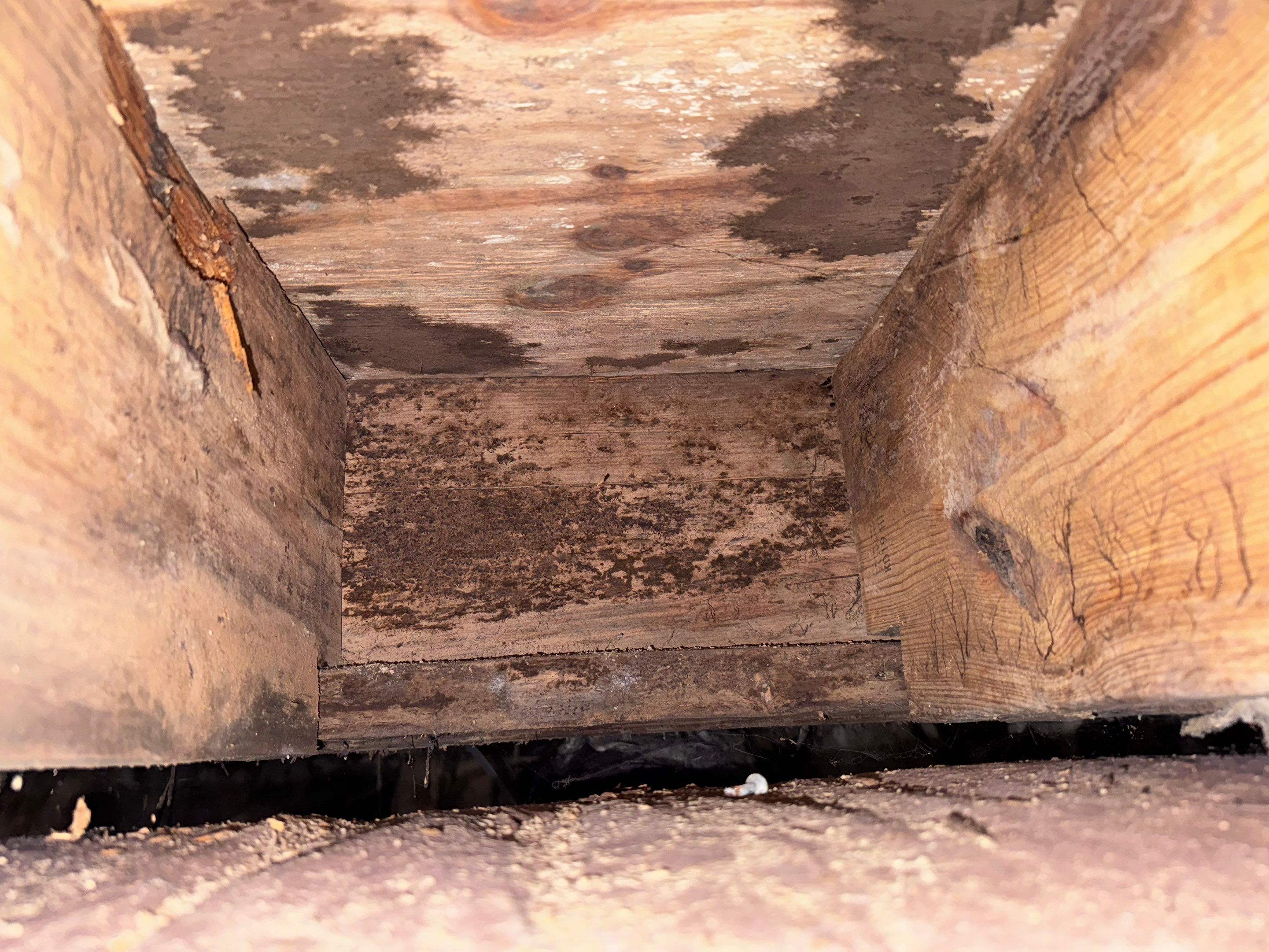 Structural Repairs inludiing sub-floor removal, new floor joists installed, girder replacmeent and dropped girder installed. by Impact Crawlspace