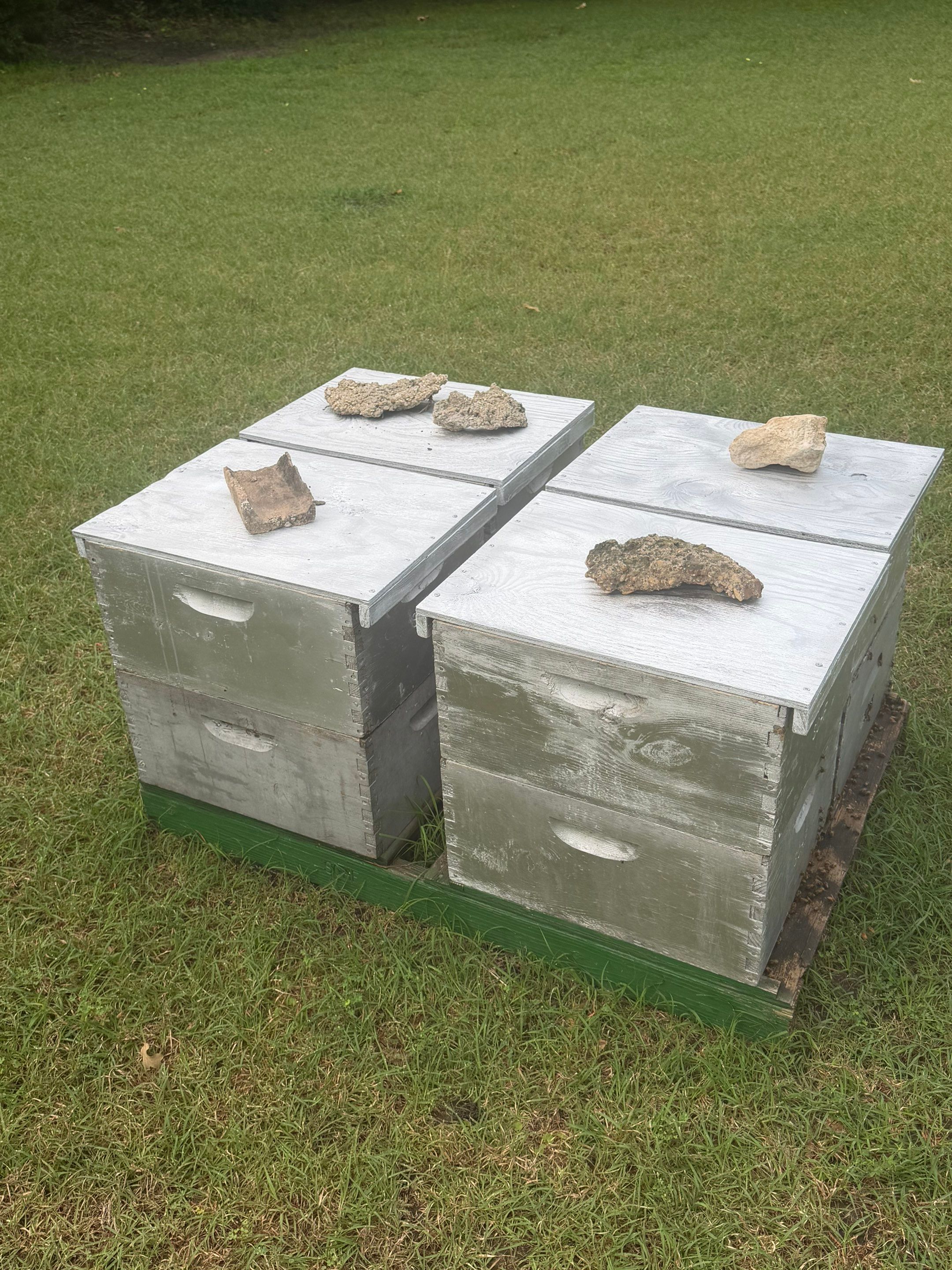 Cavnar Gang-Busters by Rockwall Honey Bee Company