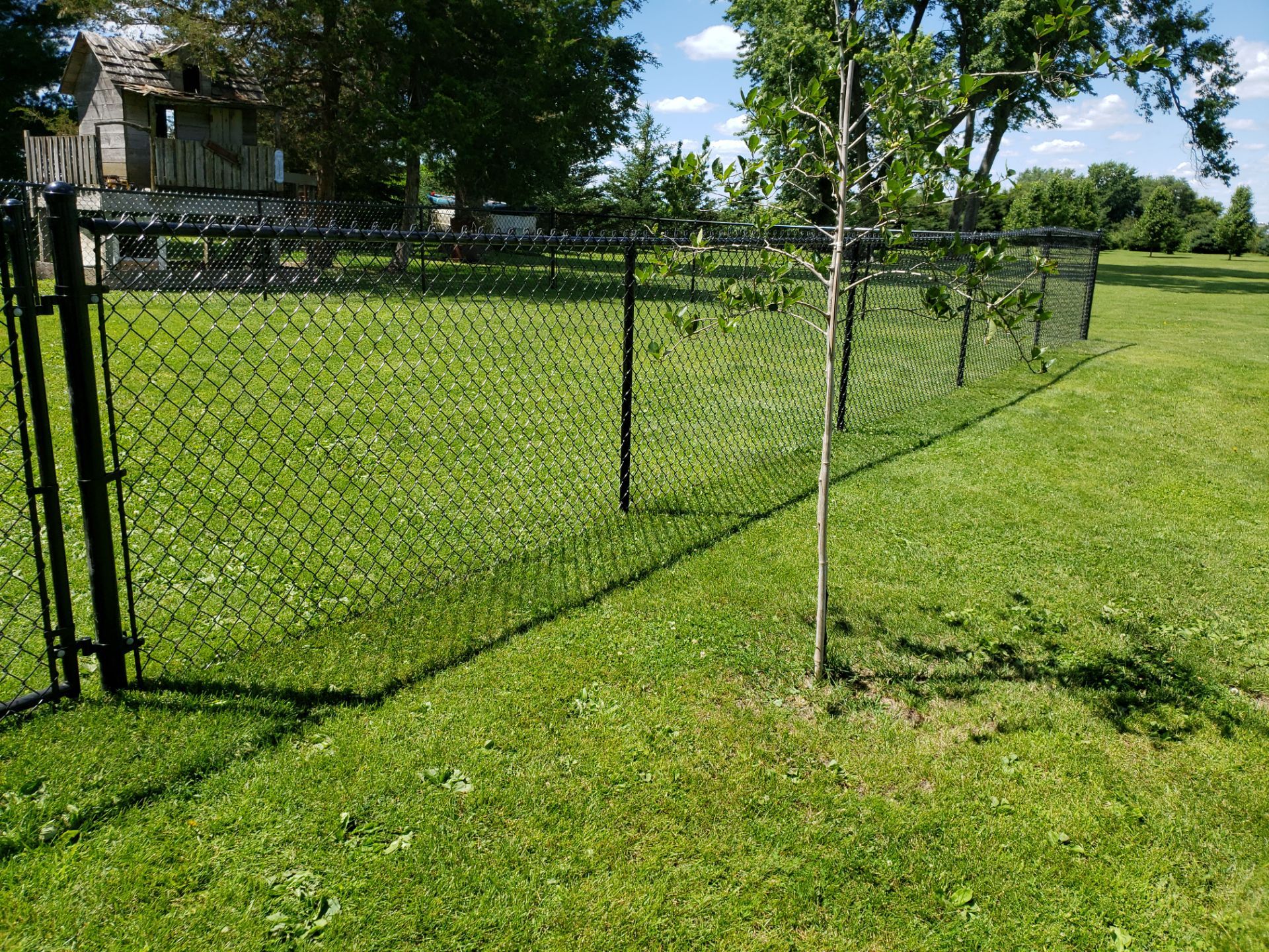 Residential Black Vinyl-Coated Chain Link Fence Installation in Bristow by Perfect Picket Fence and Stain