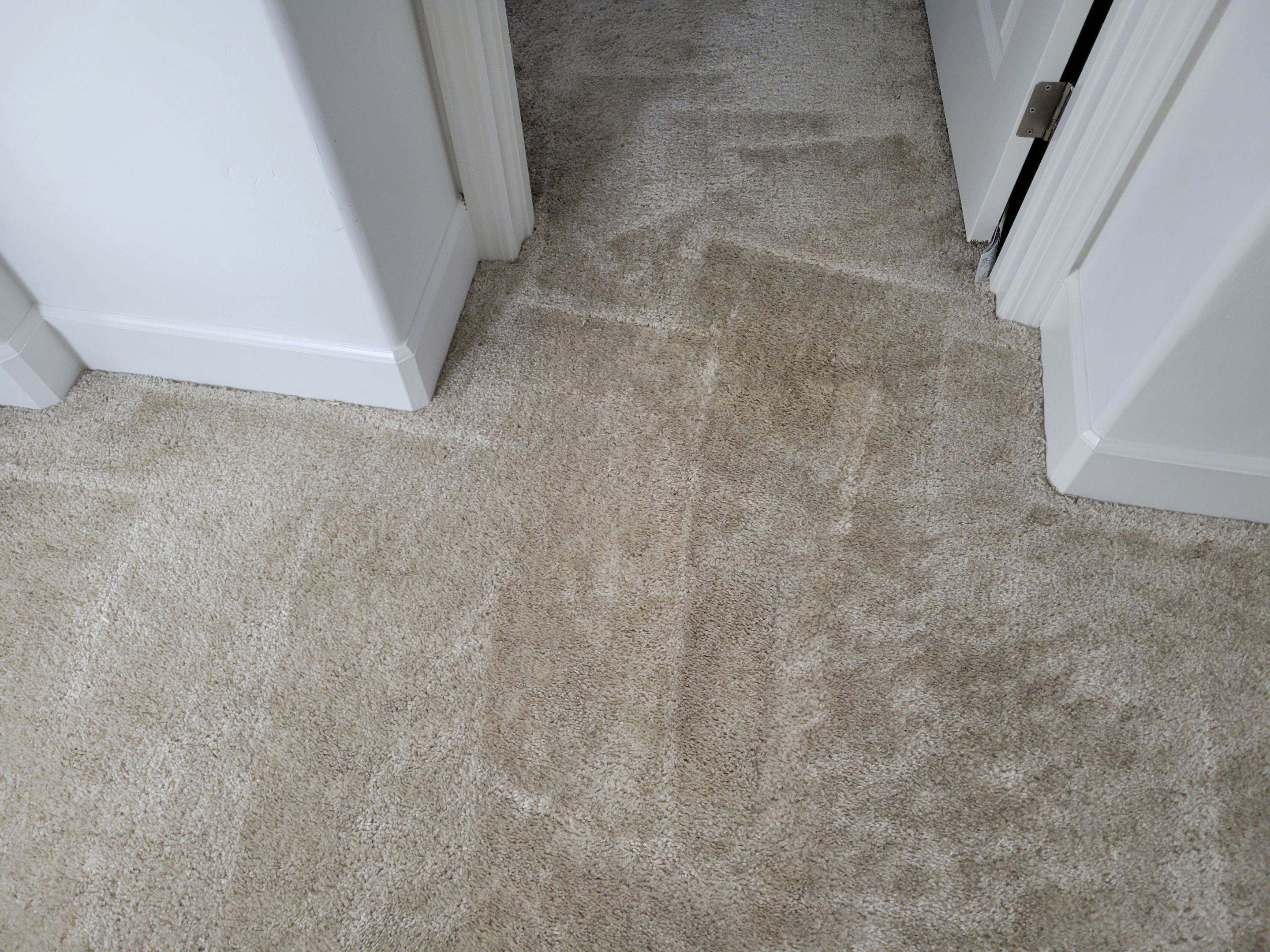 Carpet Repair of Paint, Stain & Bleach by Ardent Carpet Restore LLC