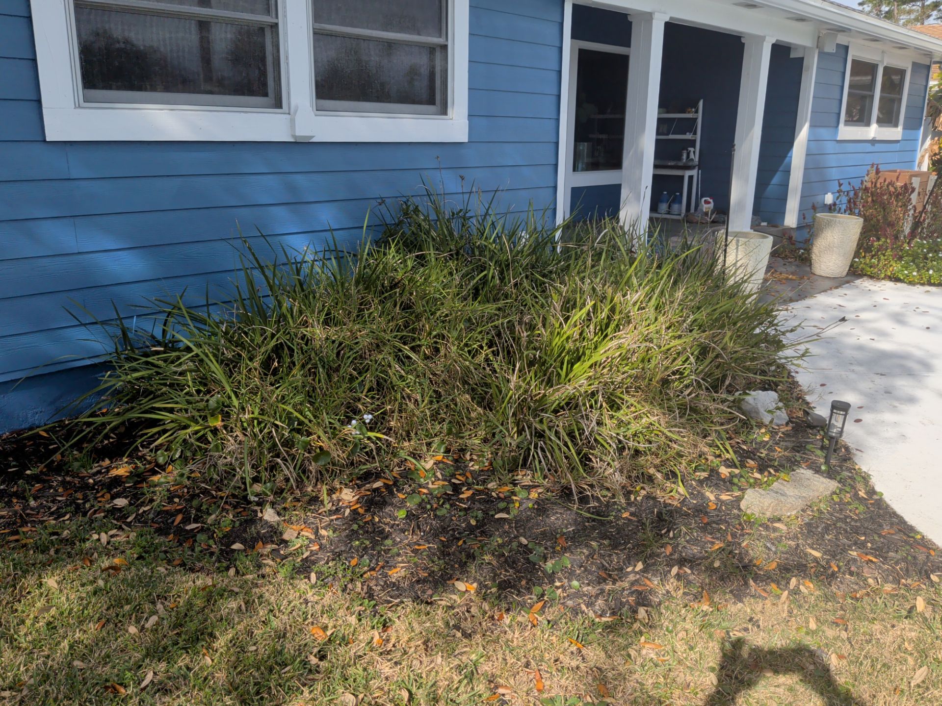 Flower Bed & Property Cleanup San Pablo area — Jacksonville Beaches, FL by Harmoni Home Services