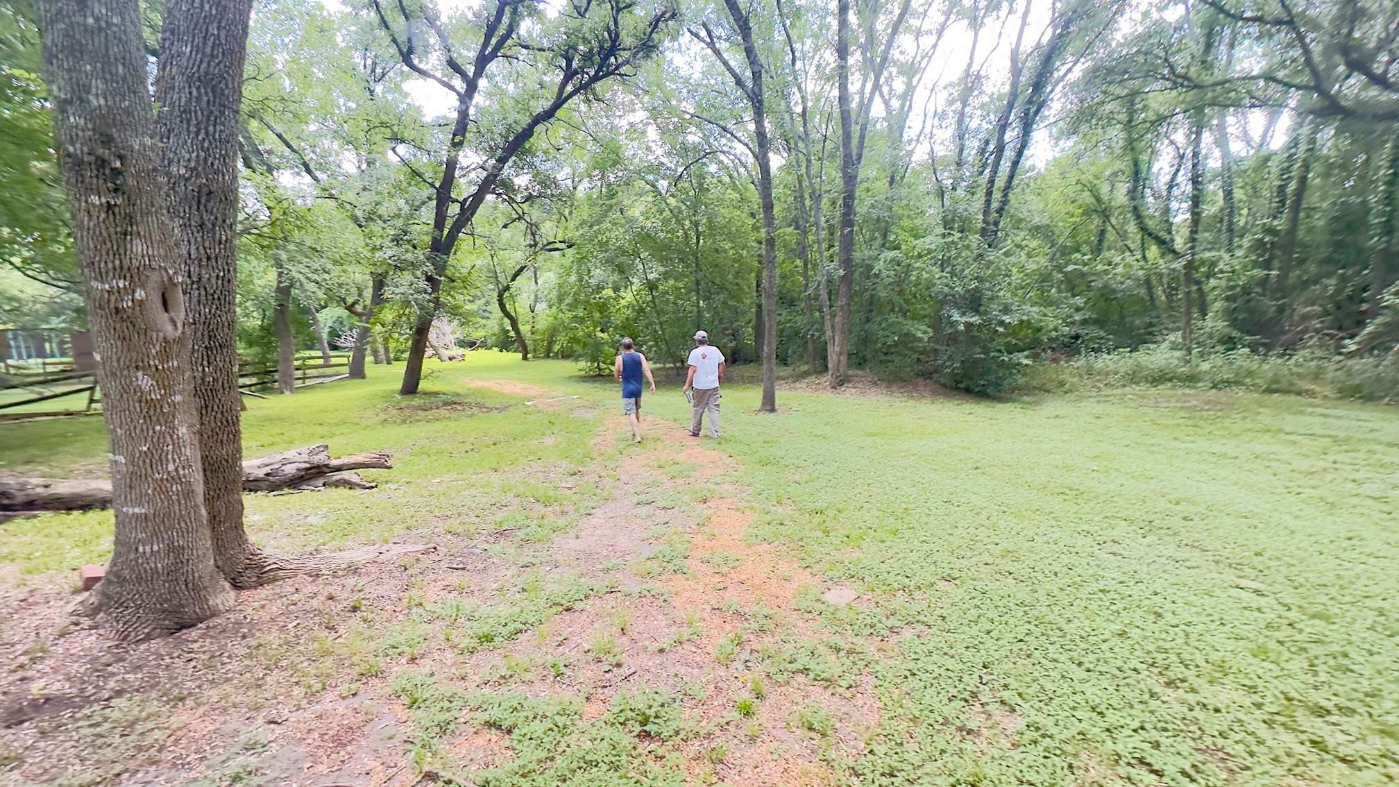 Two Trees One Yard by Rockwall Honey Bee Company