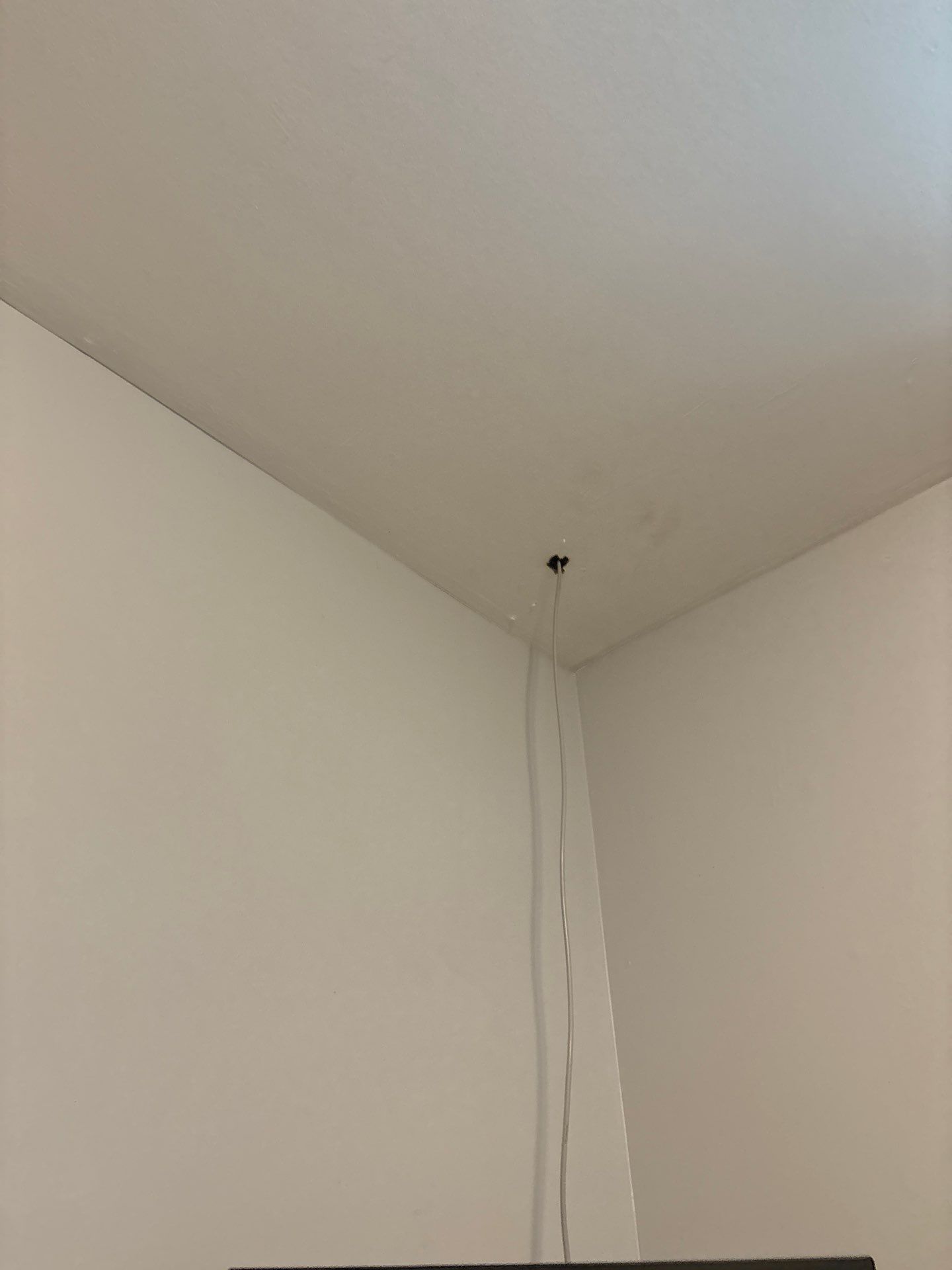 Interior Ceiling and Fixture Repairs for Denver Homeowner by CompanyCam Sales Demo