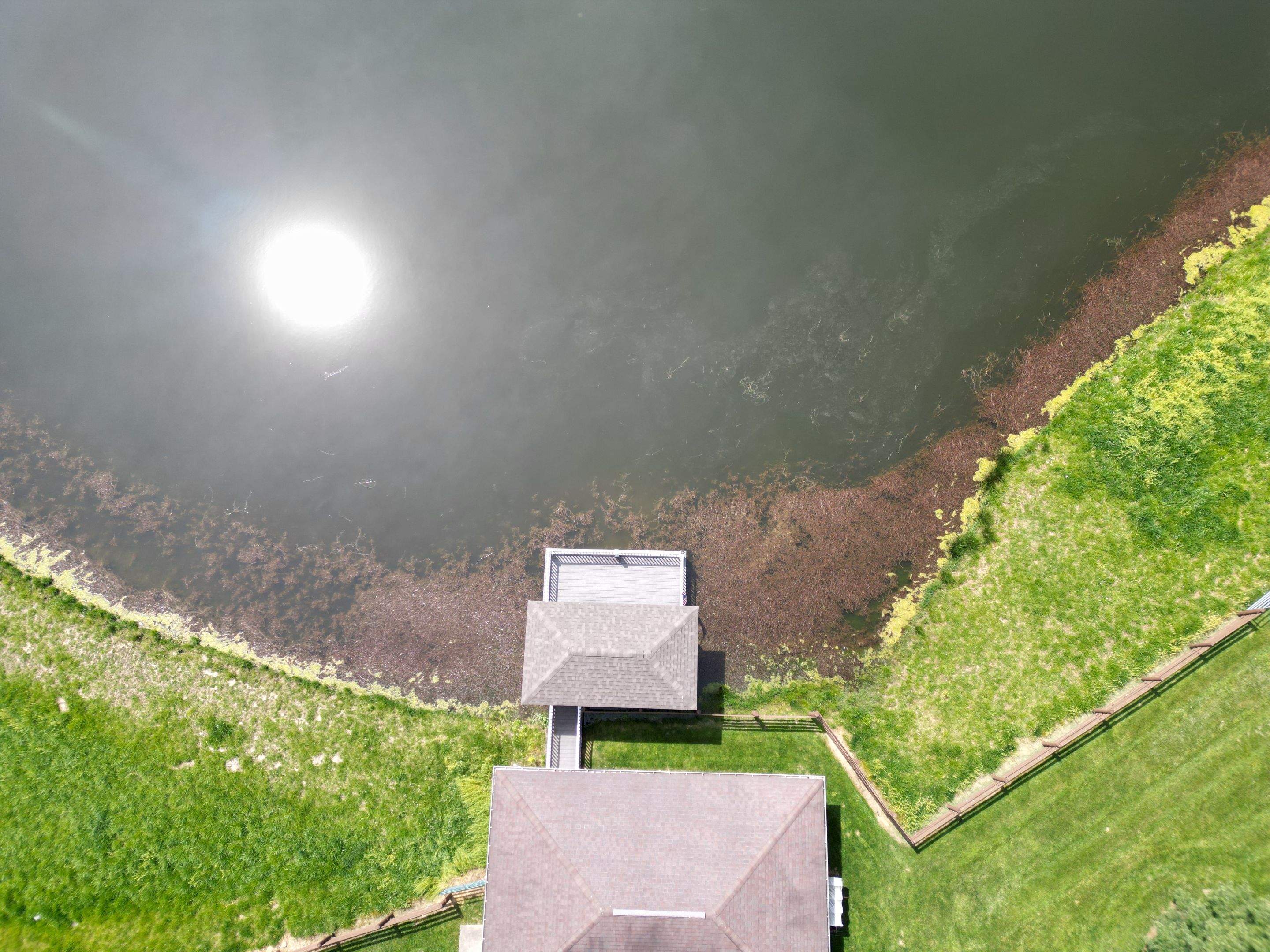 Maas Project by  Bellus Aquatic Solutions