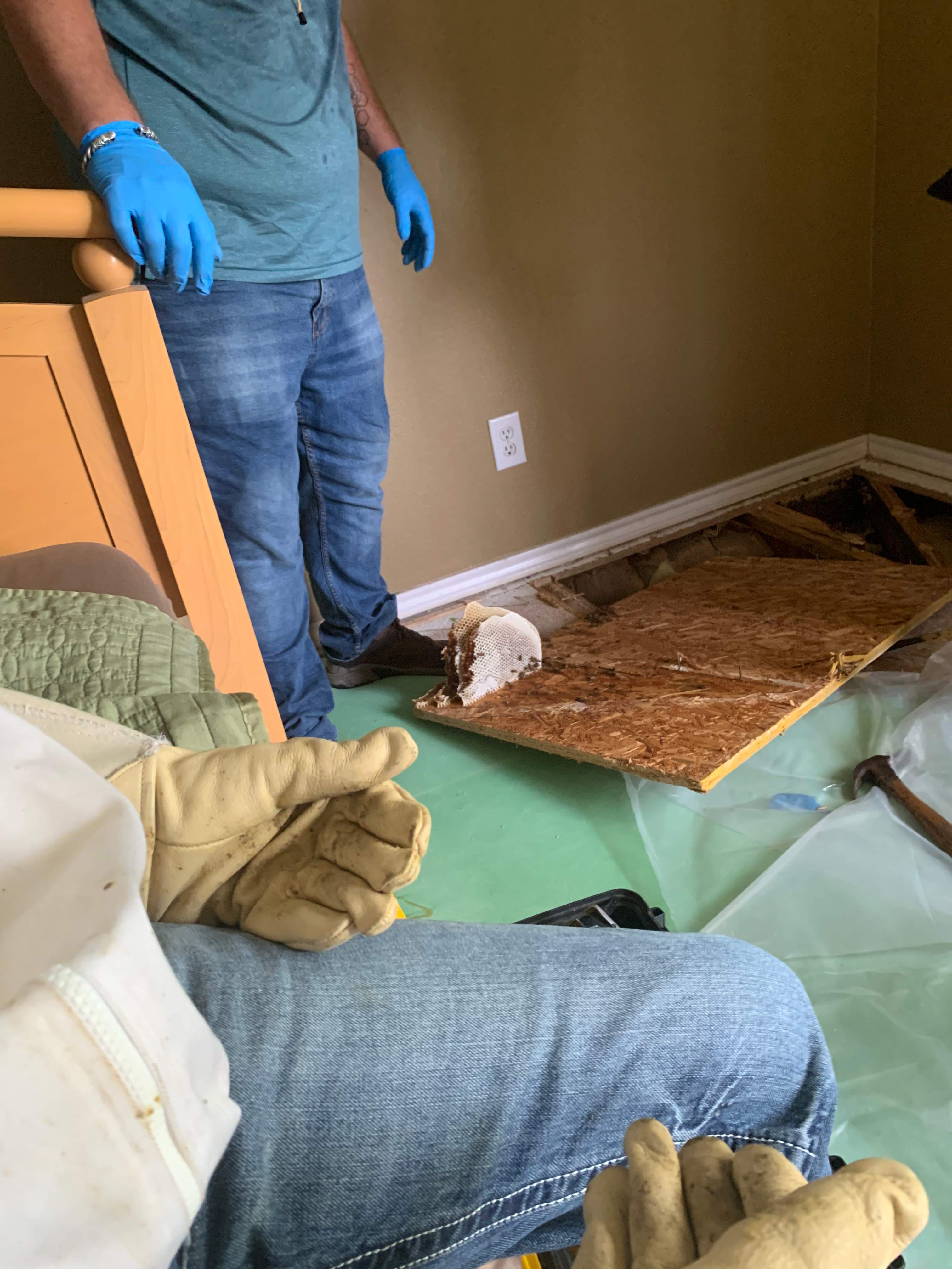 Beekeepers-to-be by Rockwall Honey Bee Company