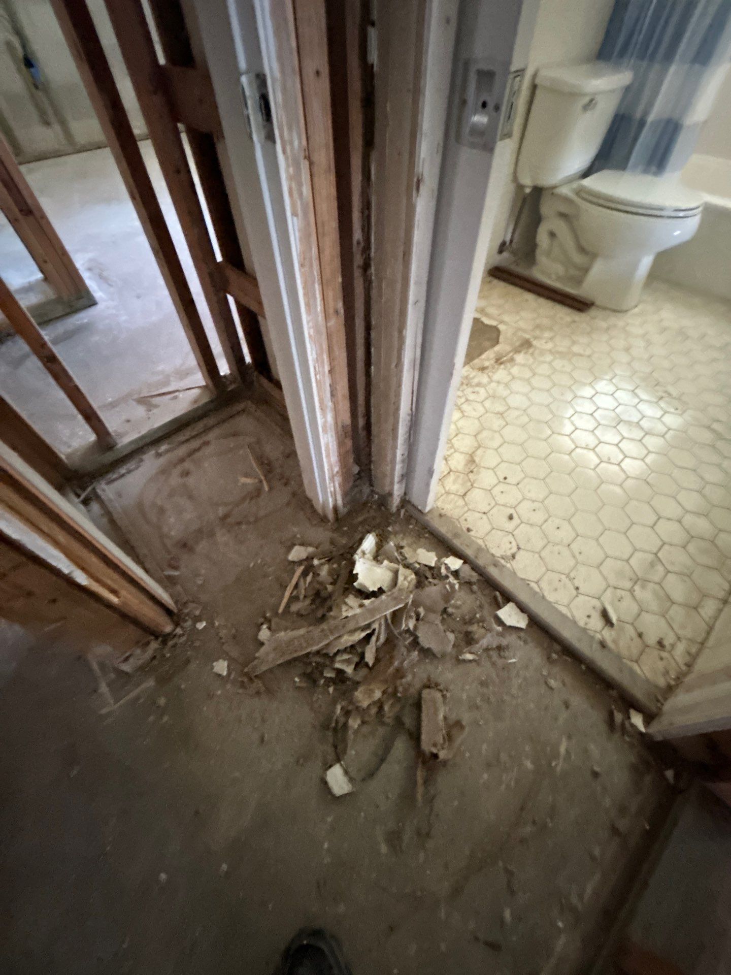 Water Mitigation by Ampm Restoration Services 