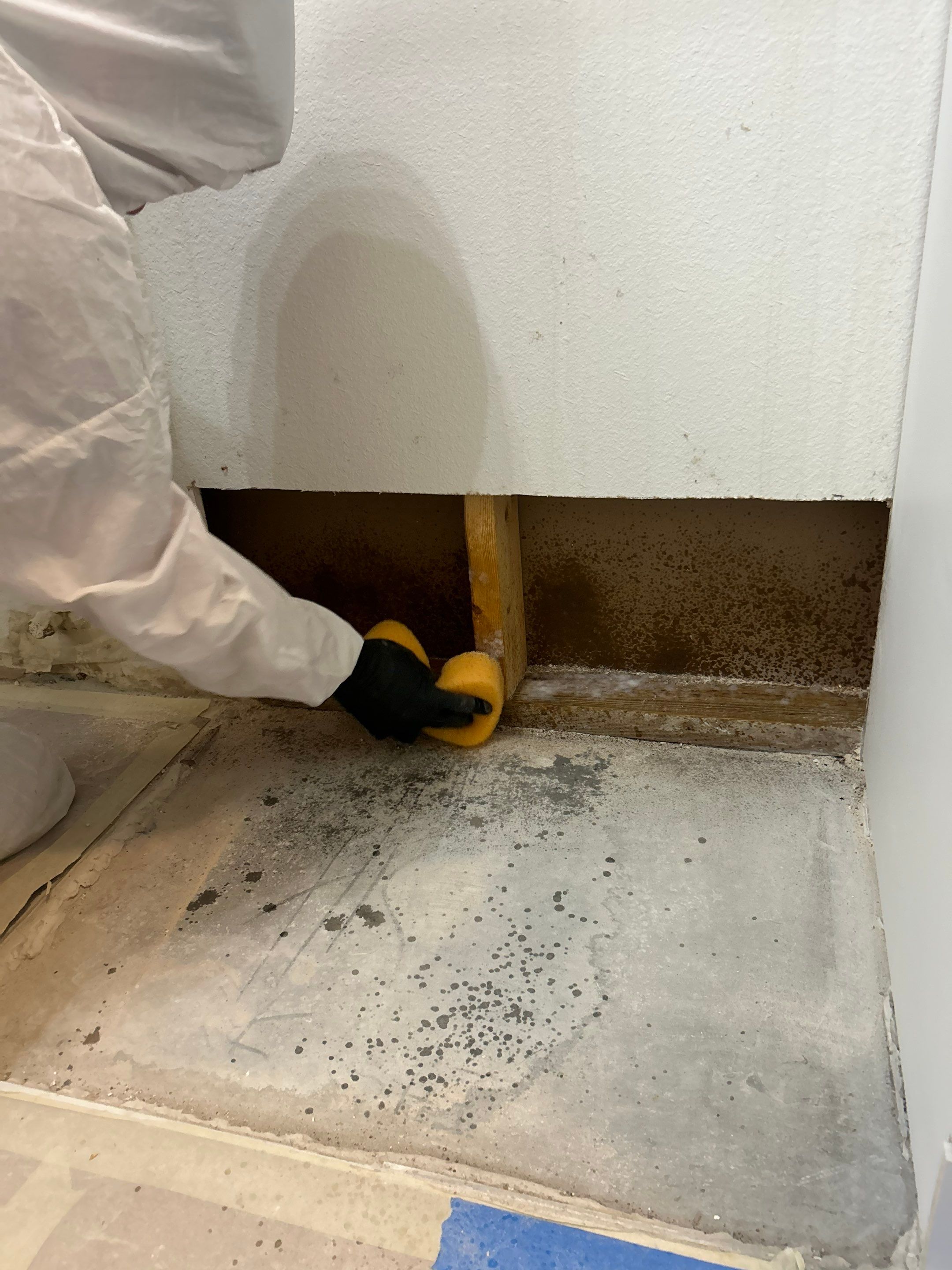 Project in Valrico by You Restorations LLC DBA YOU-Home