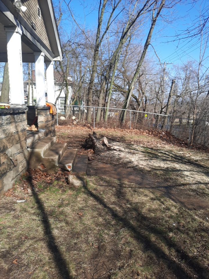 Tree Removal using Tree Removal by Mike Jones & Sons Tree Service LLC 