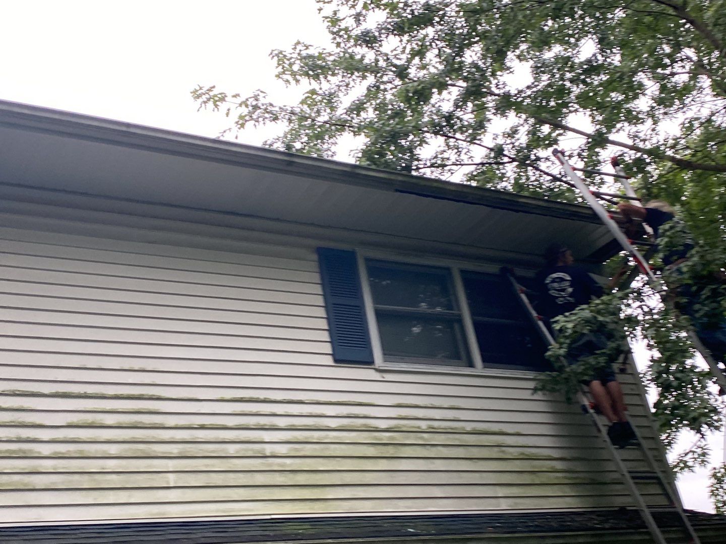 Kevin Lambes by Silver Leaf Contracting 