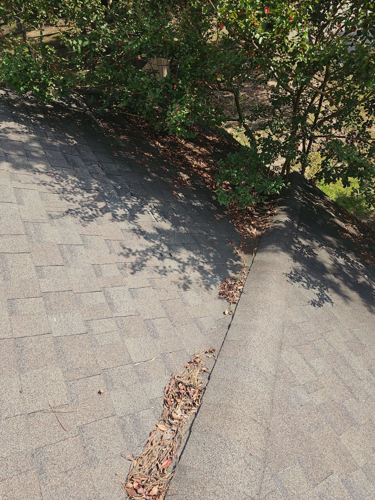 Residential Roofing Repair using Owen's Corning Duration (Lifetime) Shingles by Roof Repair Company