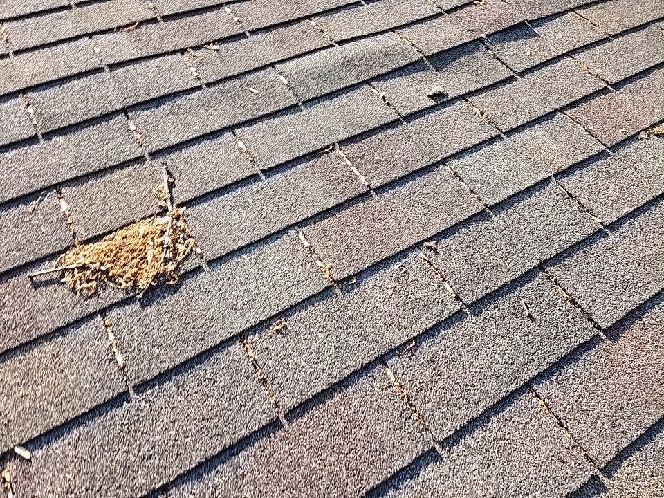Atlas Pinnacle, Color: Weathered Wood, Drip Edge: Color: Royal Brown by Eagle Eye Roofing