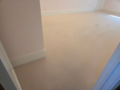 Heavy Carpet Clean with Imperfections